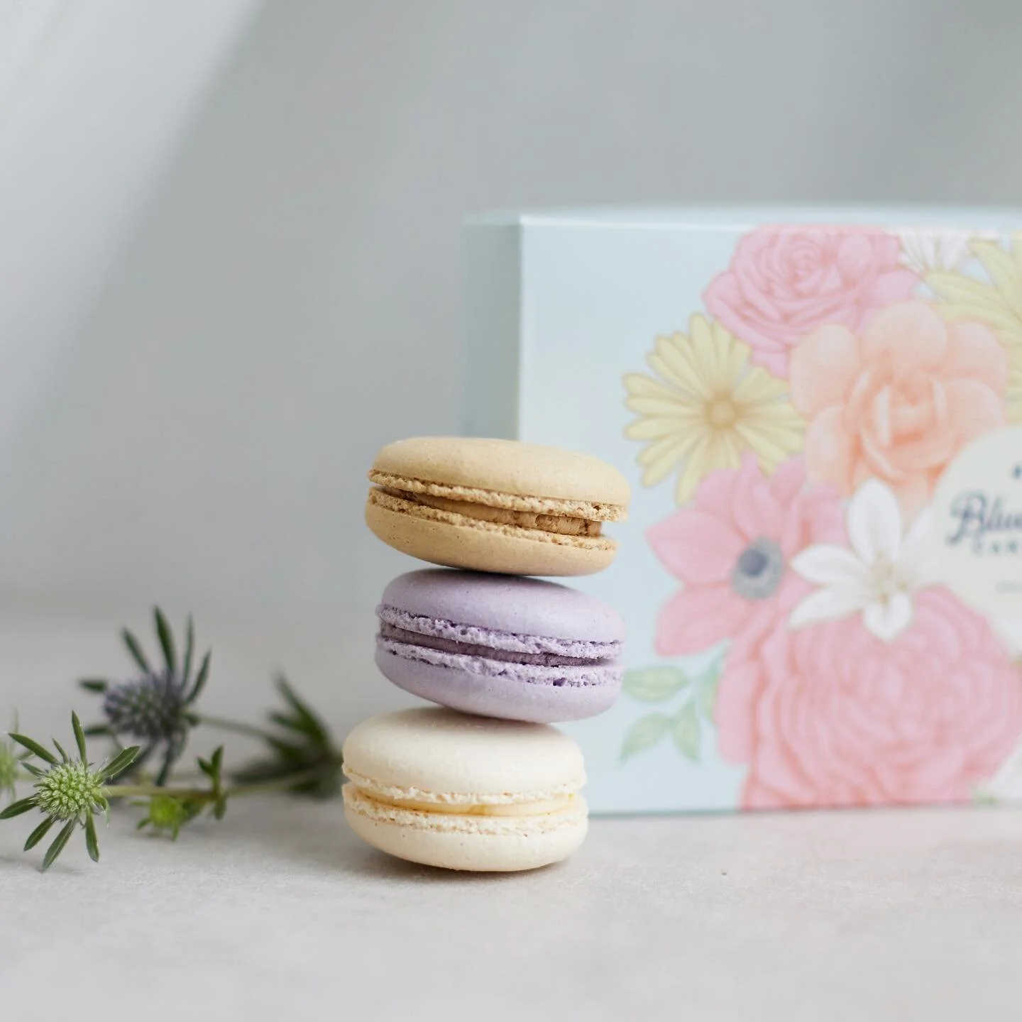 Macaron-packaging.jpg