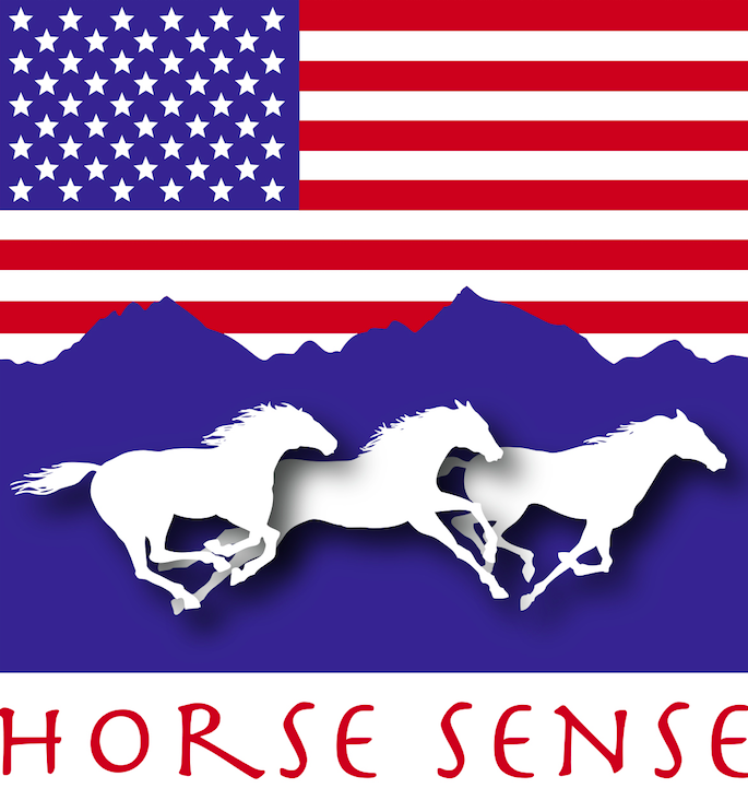 HOHS_logo-rwb.png