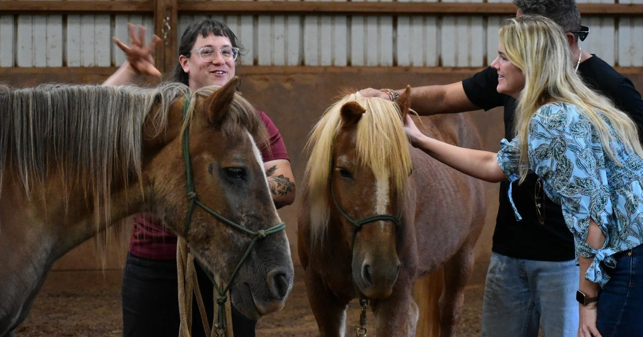 This fall, we're spotlighting the incredible rescue horses that inspired each of our premium, small-batch coffees in partnership with Pisgah Coffee Roasters. 
Our Soul Sisters, Pumpkin and Spice, arrived thanks to our friends at Hope for Horses, a r