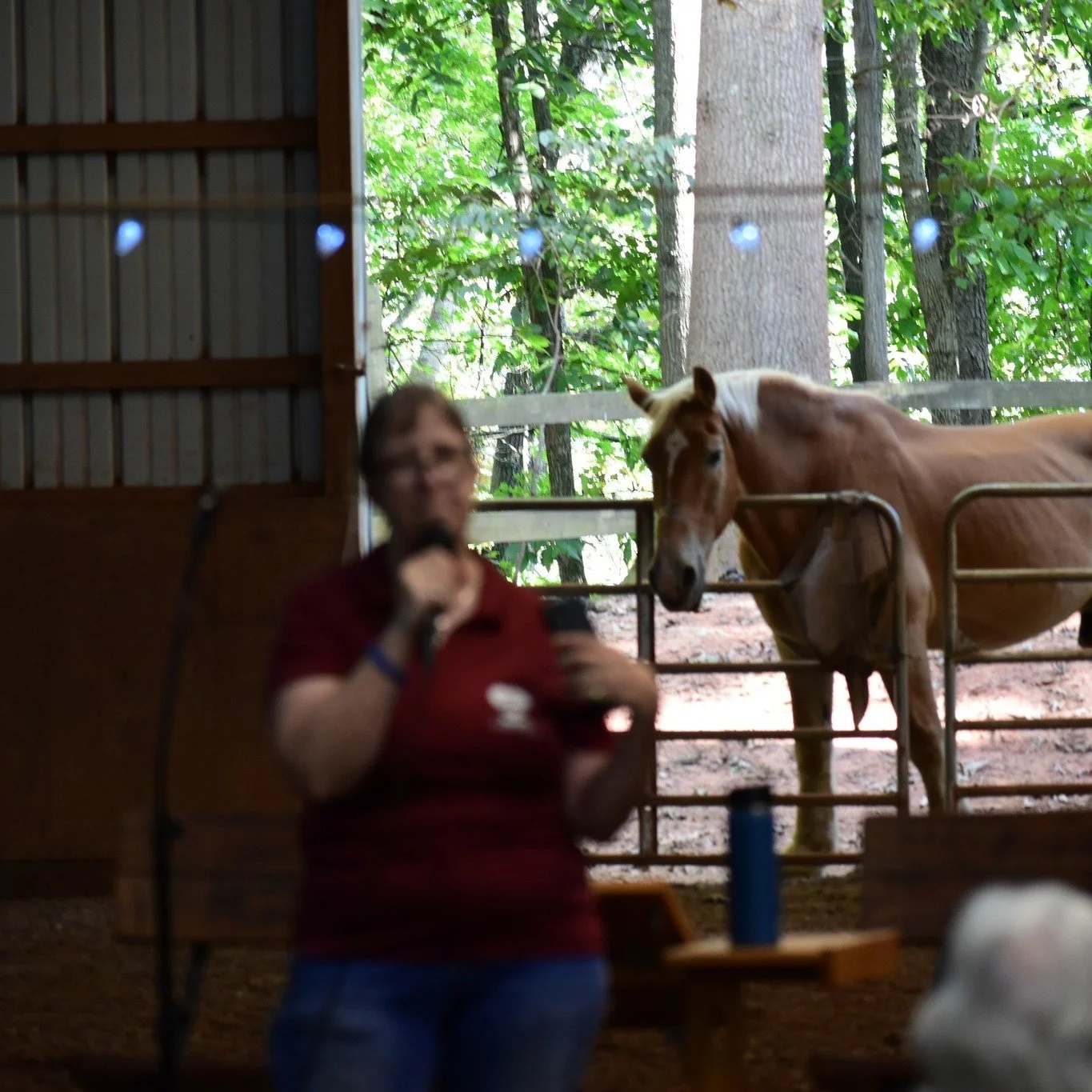This fall, in honor of our exciting new HOLIDAY COFFEE COLLECTION, we're spotlighting the incredible rescue horses that inspired each of our premium, small-batch coffees in partnership with Pisgah Coffee Roasters. 
Samson certainly is strong - a ret