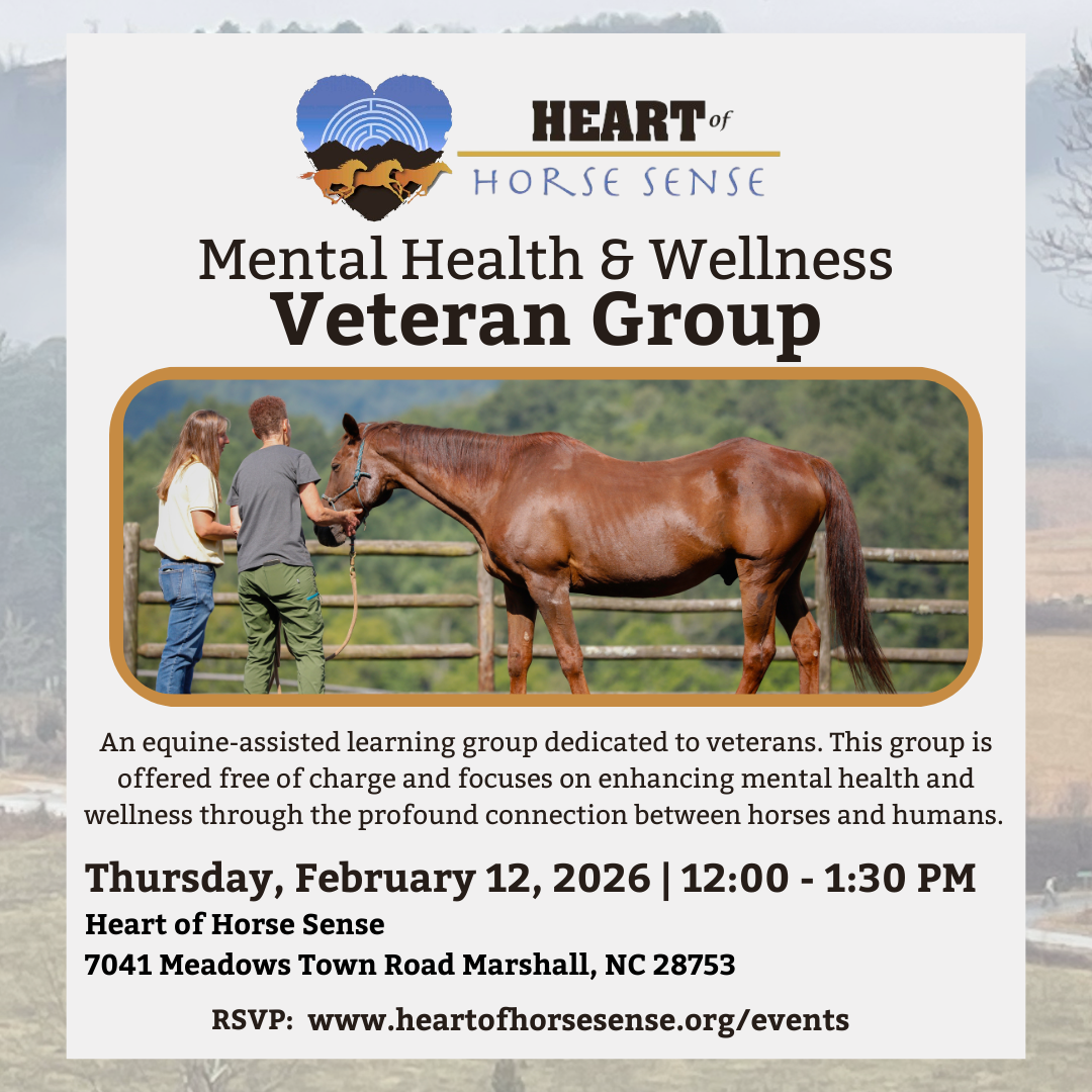 Veteran Mental Health &amp; Wellness Group - February 2026