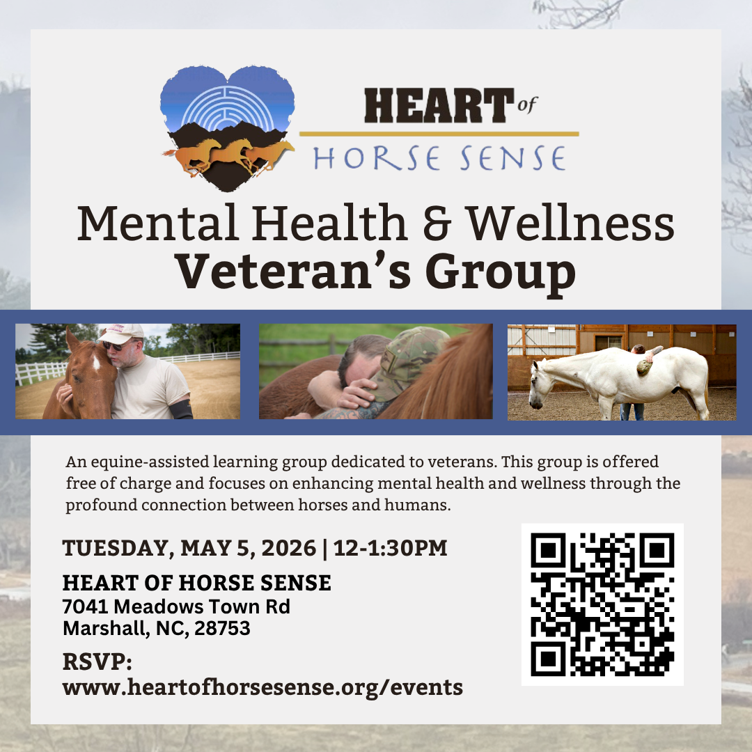 Veteran Mental Health &amp; Wellness Group - May 2026
