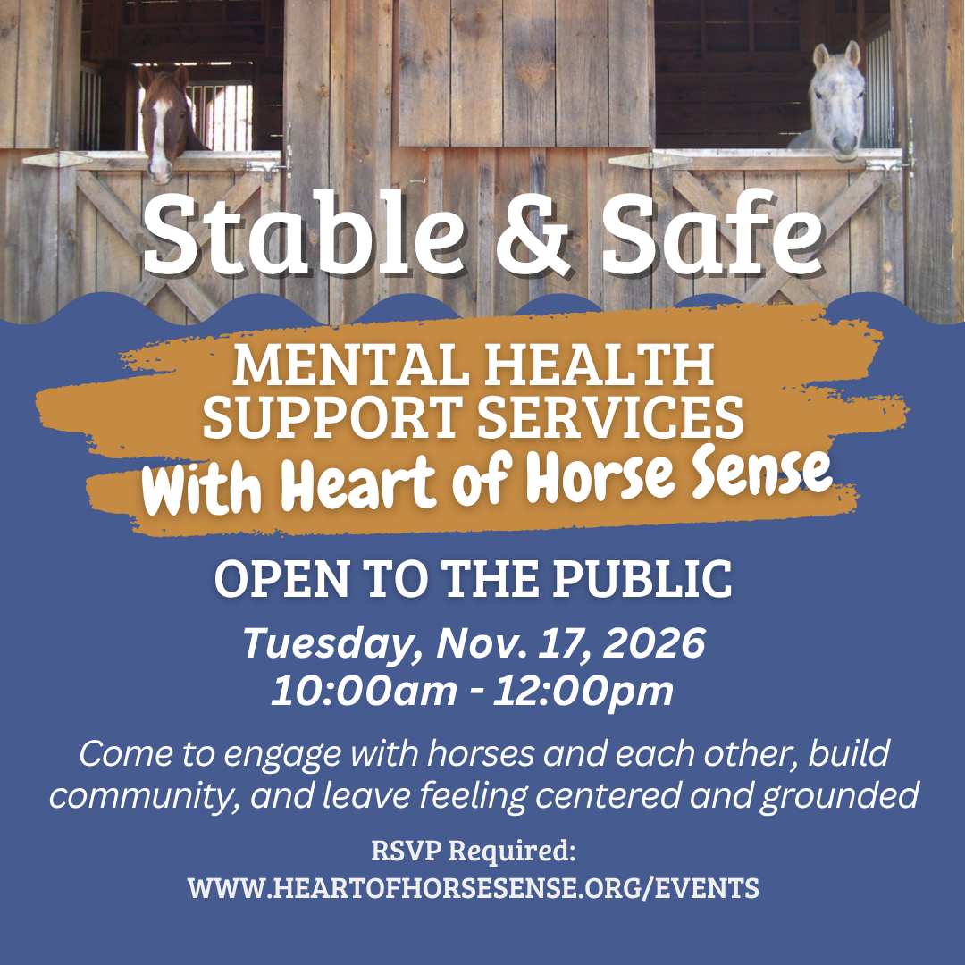 Stable &amp; Safe - November 2026