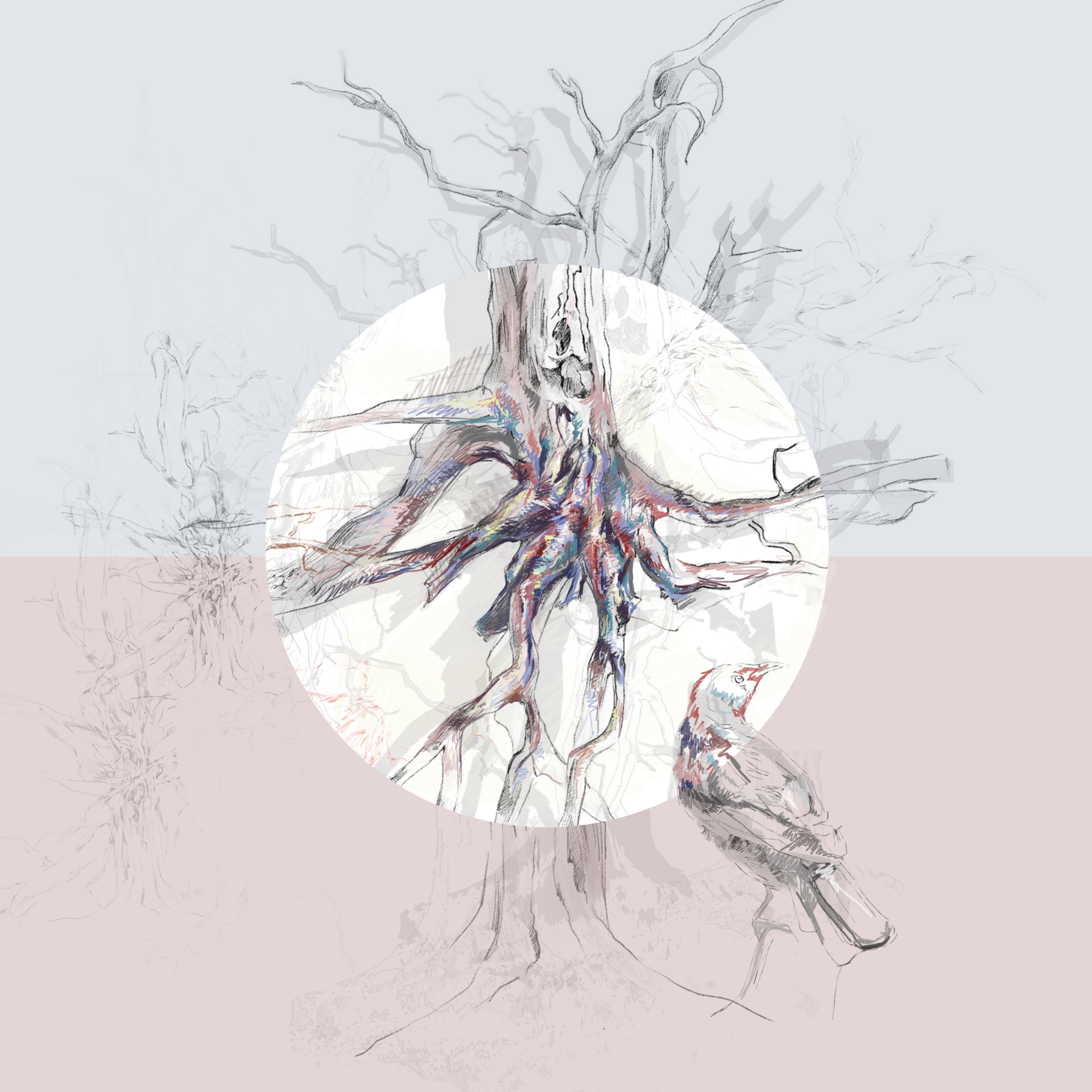final cover 2.png
