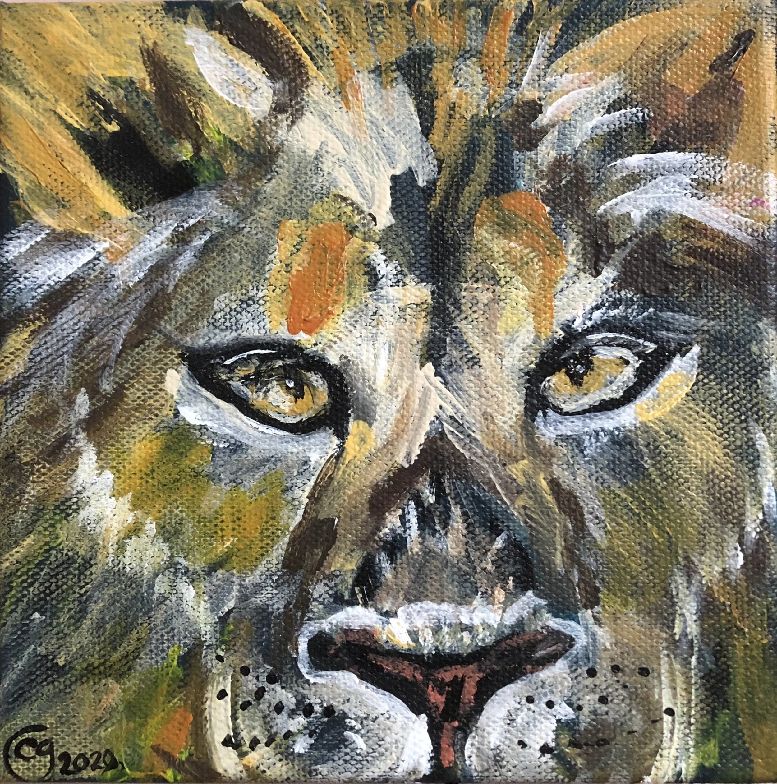 Lion All Around