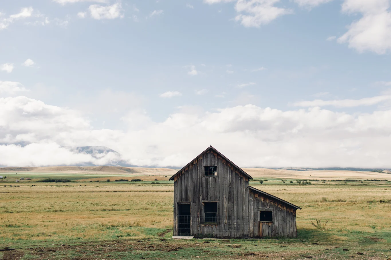This is one of the original homestead’s on the ranch and the inspiration behind the logo illustration. Many generations have gone before us here and we feel blessed to get to have this lifestyle because of their hard work.