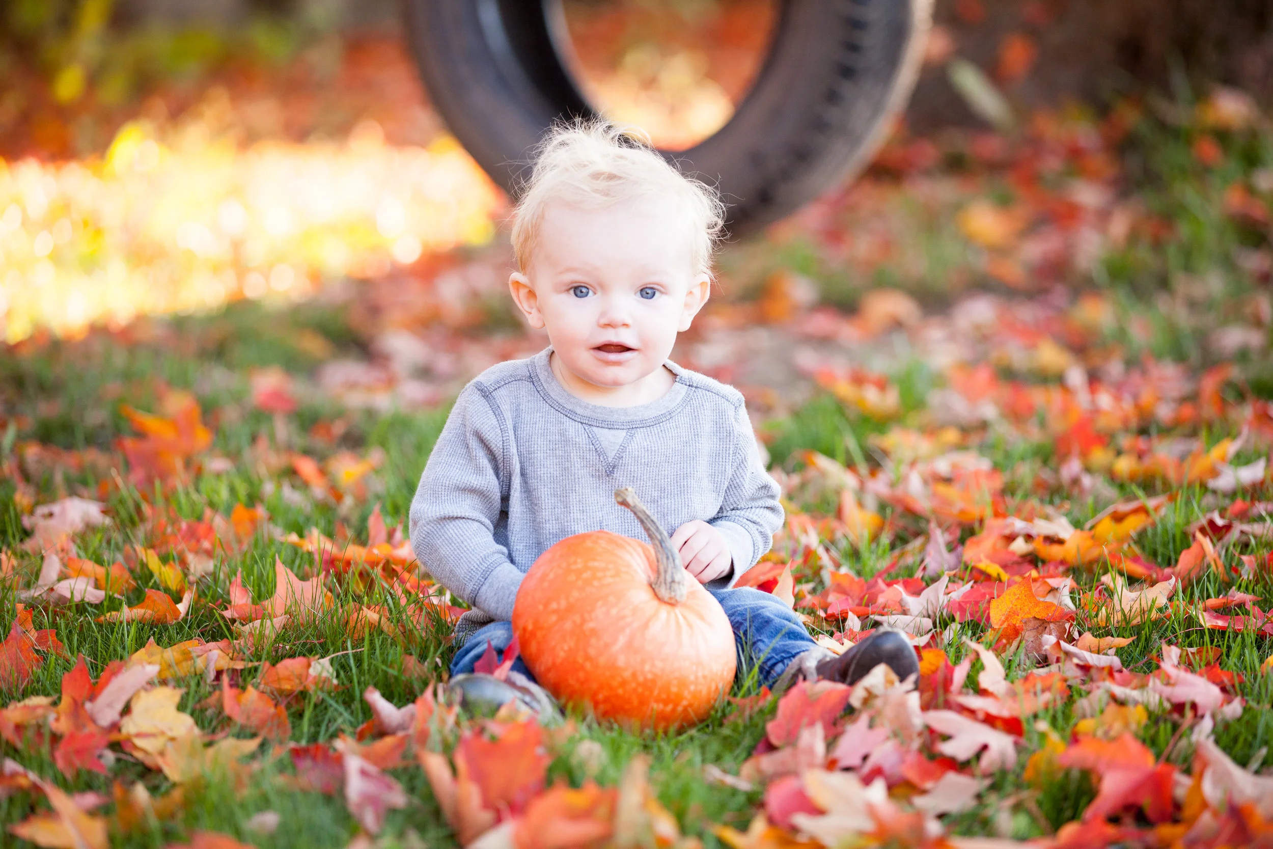 20181006_MAC_0003-2.jpg
