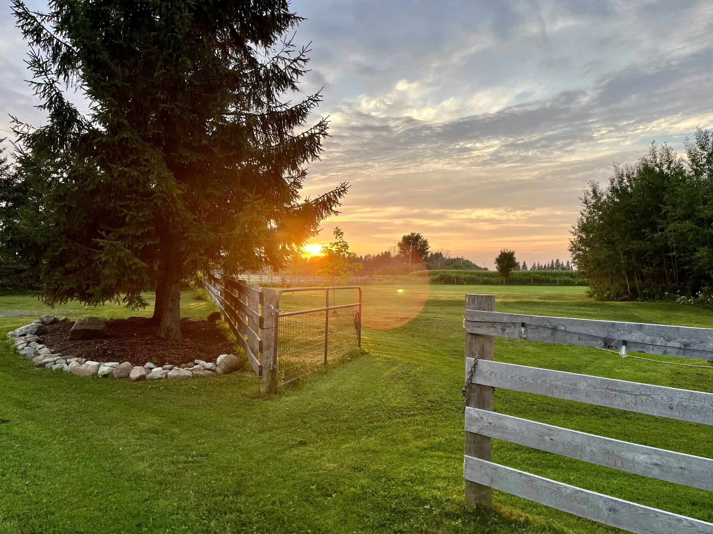 front field sunset.jpg