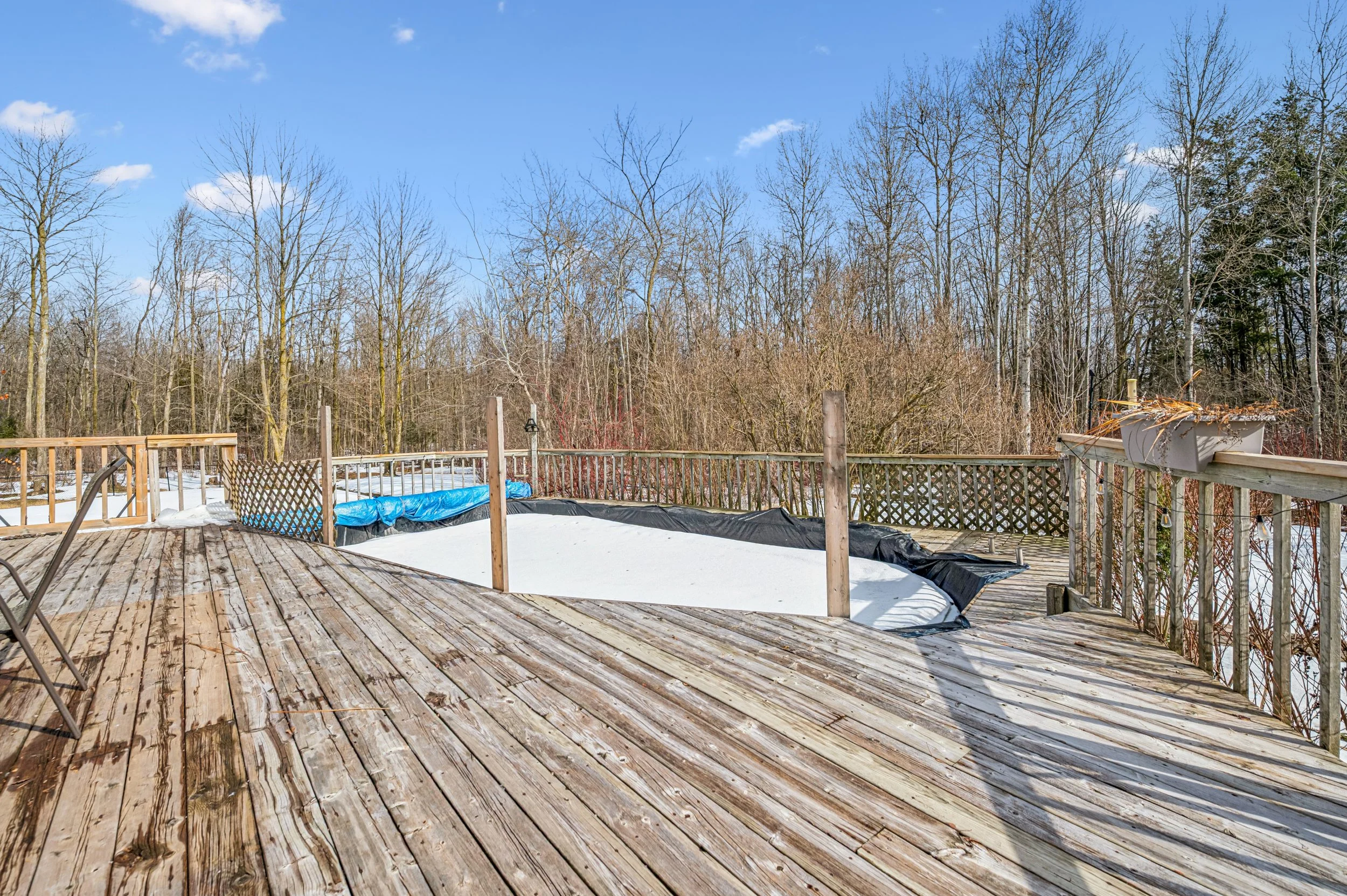 49-Jones Baseline 042.jpg