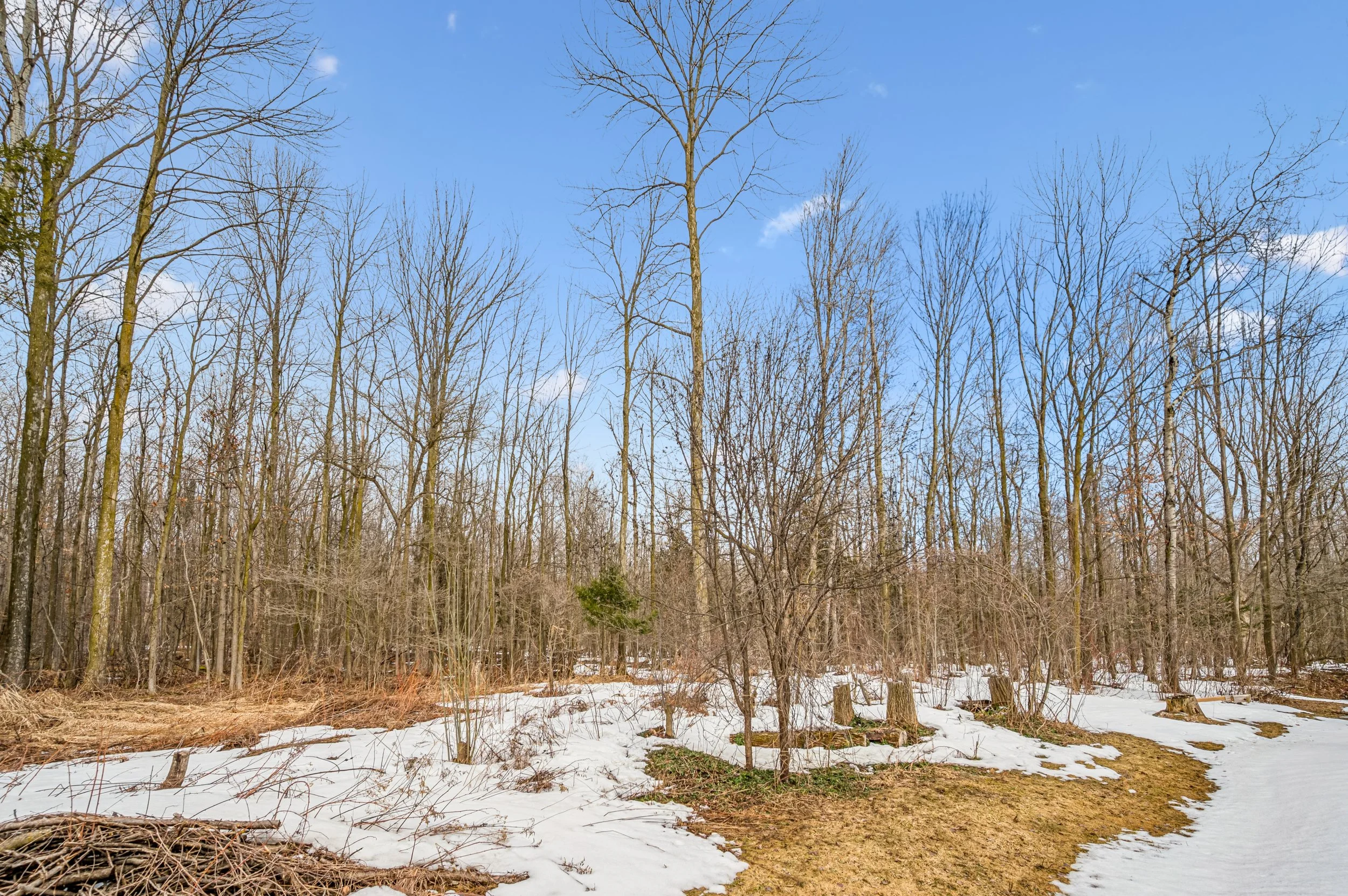 53-Jones Baseline 046.jpg