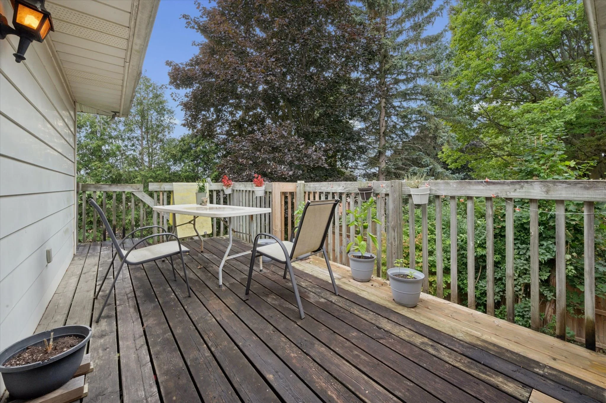 22-IMAGE - 0074.jpg