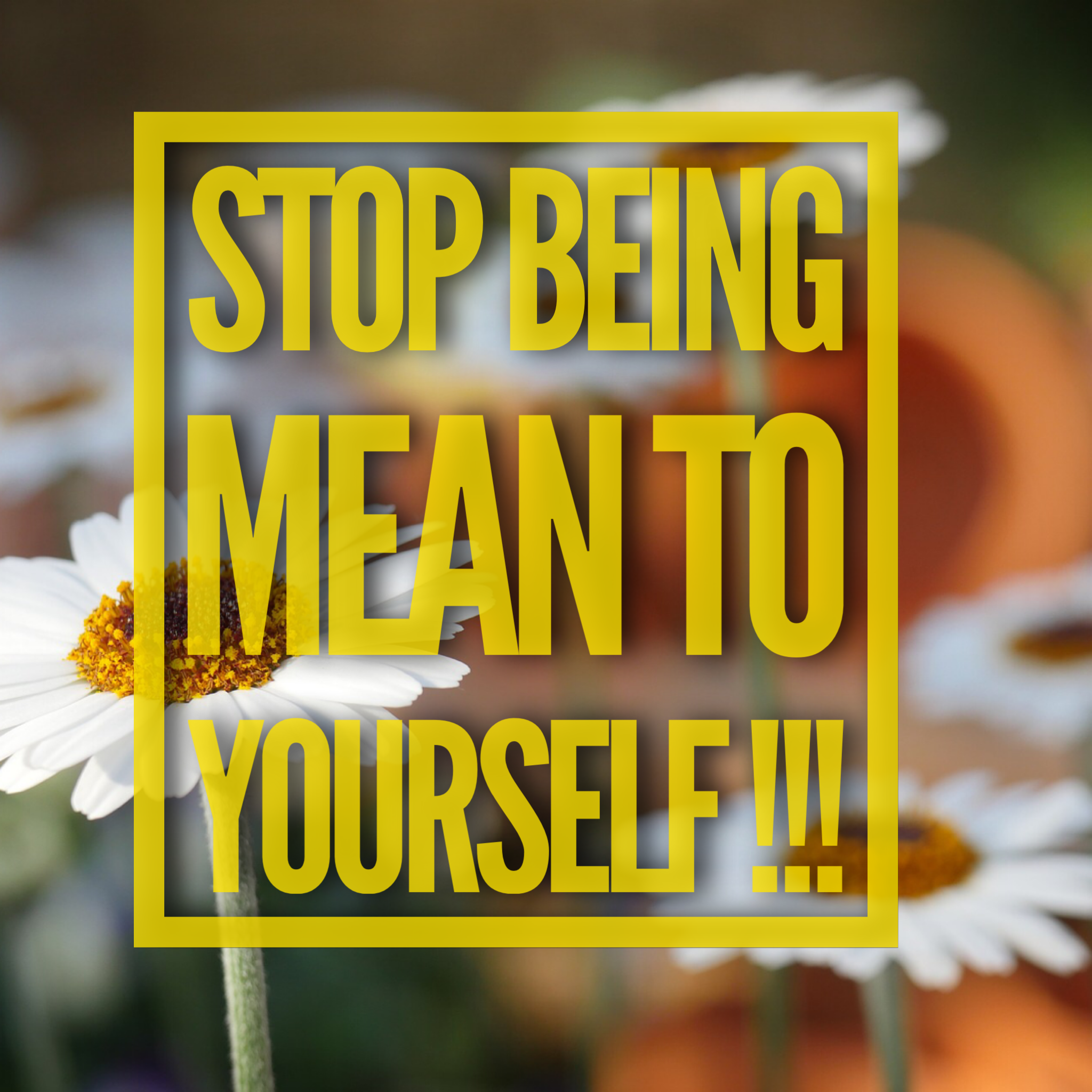 Stop Being Mean To Yourself!!!