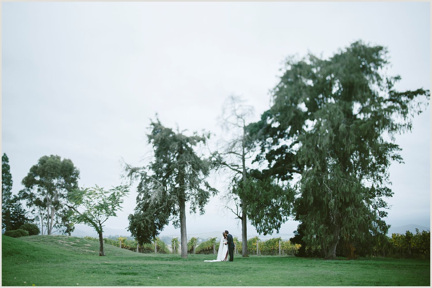 joseph_koprek_stones_of_the_yarra_valley_0046.jpg