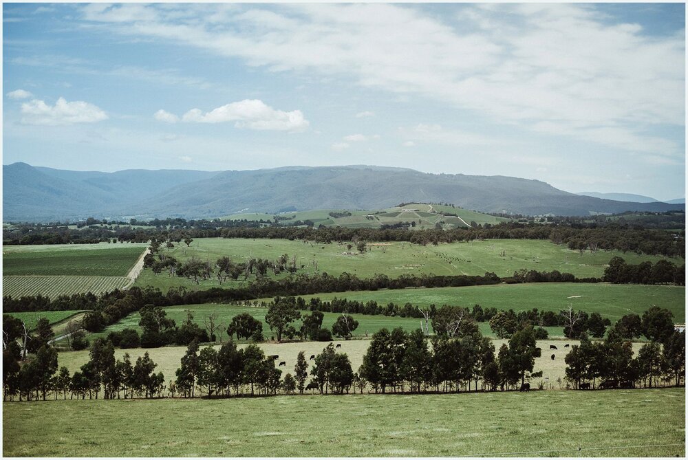 joseph_koprek_wedding_coombe_yarra_valley_0001.jpg