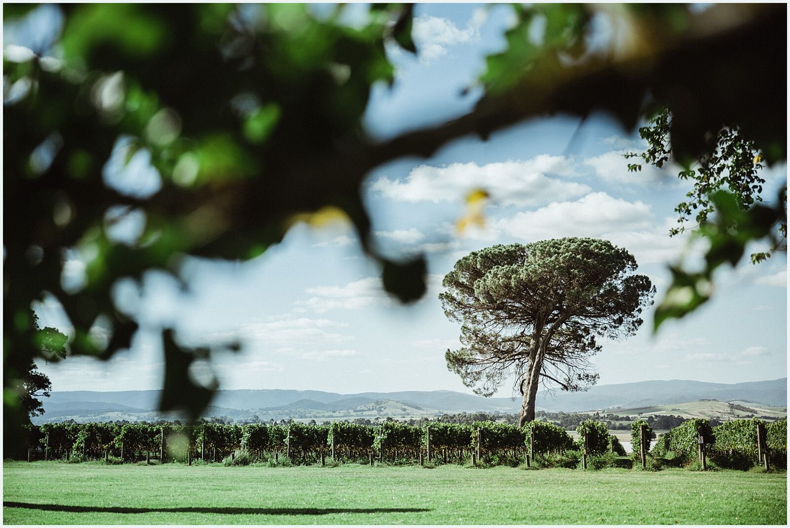 joseph_koprek_stones_of_the_yarra_valley_0024.jpg