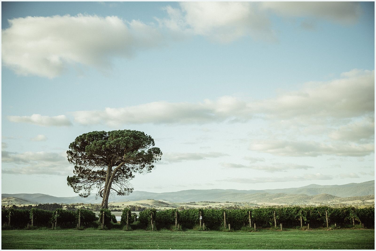 joseph_koprek_stones_of_the_yarra_valley_0083.jpg