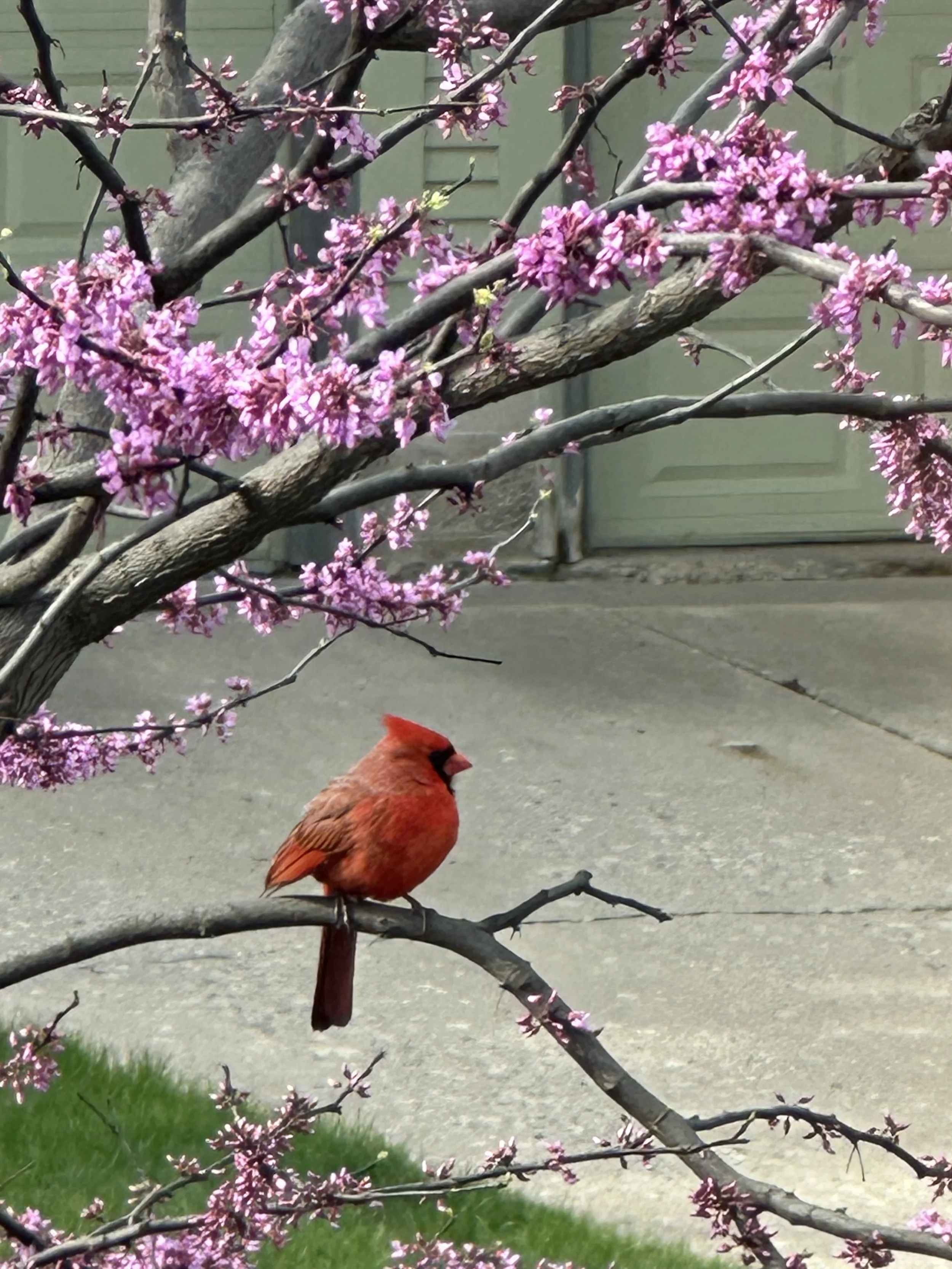 IMG_7204.jpeg