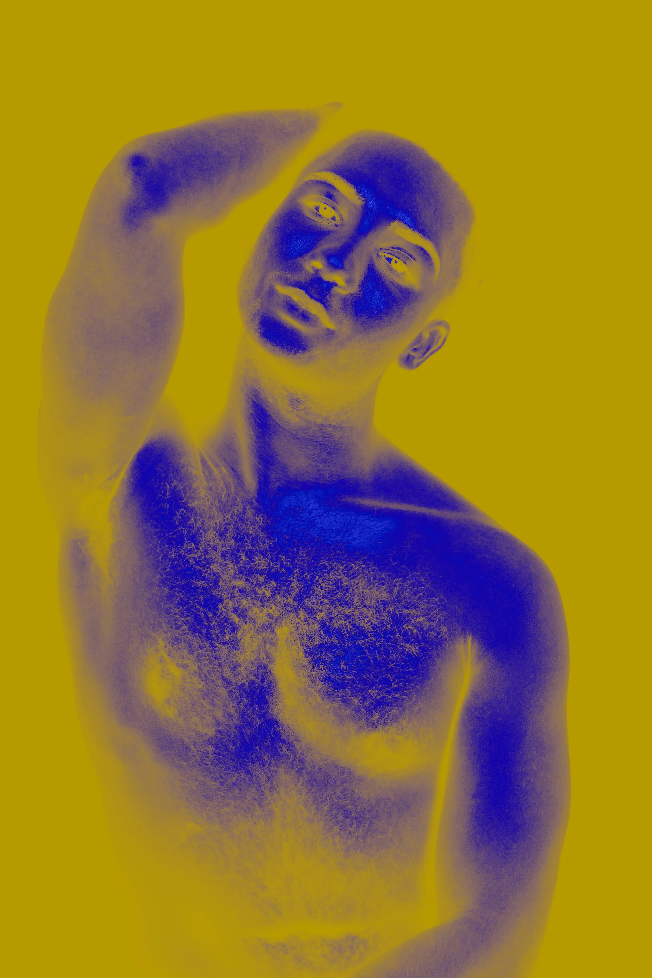 Yellow-Blue.jpg