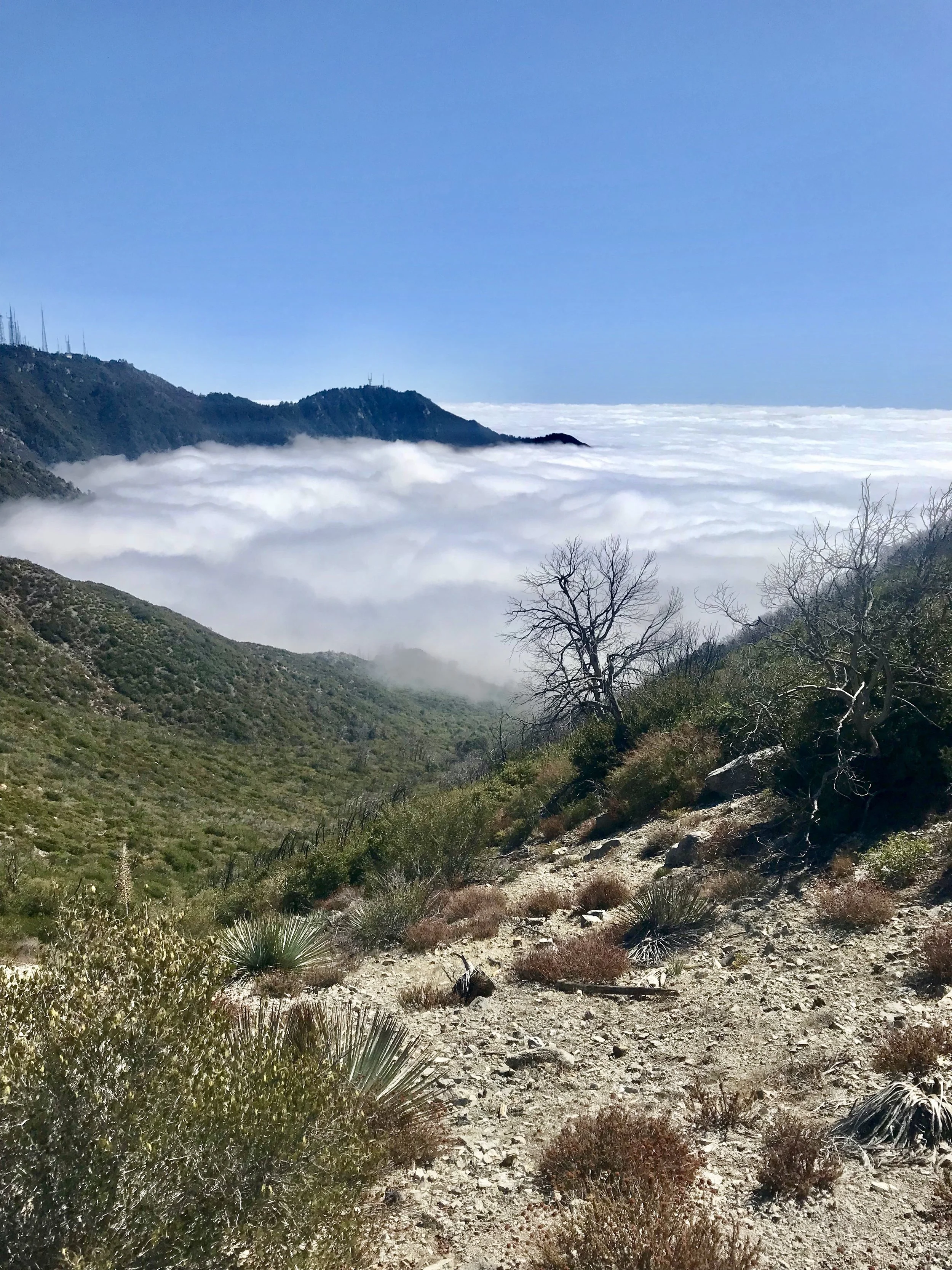 Hike Life: Taking the High Road to Mount Lowe