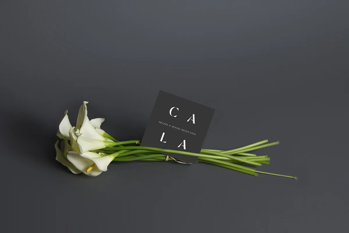 Cala_Portfolio_05.jpg
