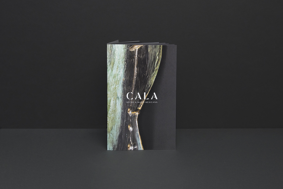2018-05-02 Cala Portafolio-009b.jpg