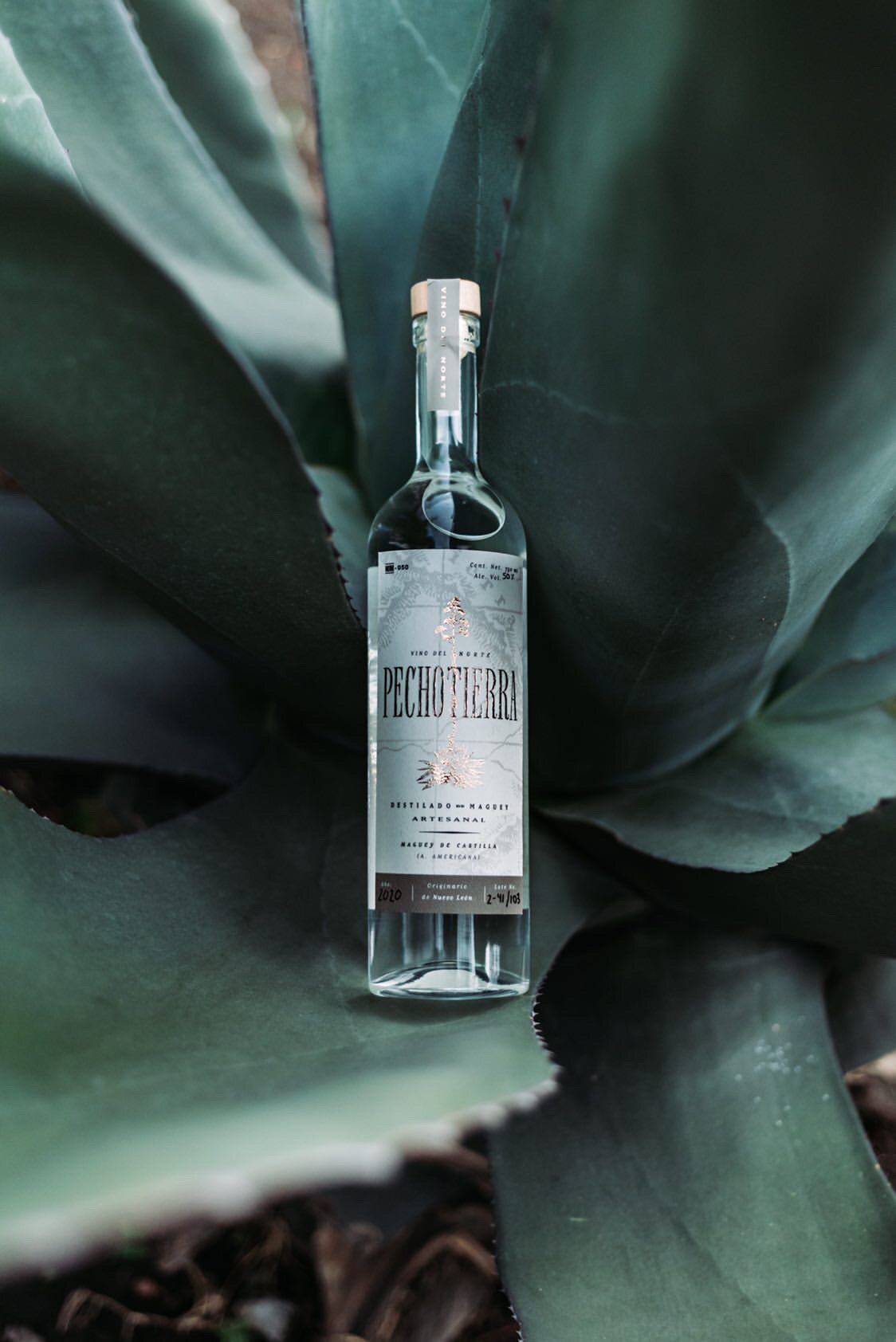 Pechotierra Mezcal