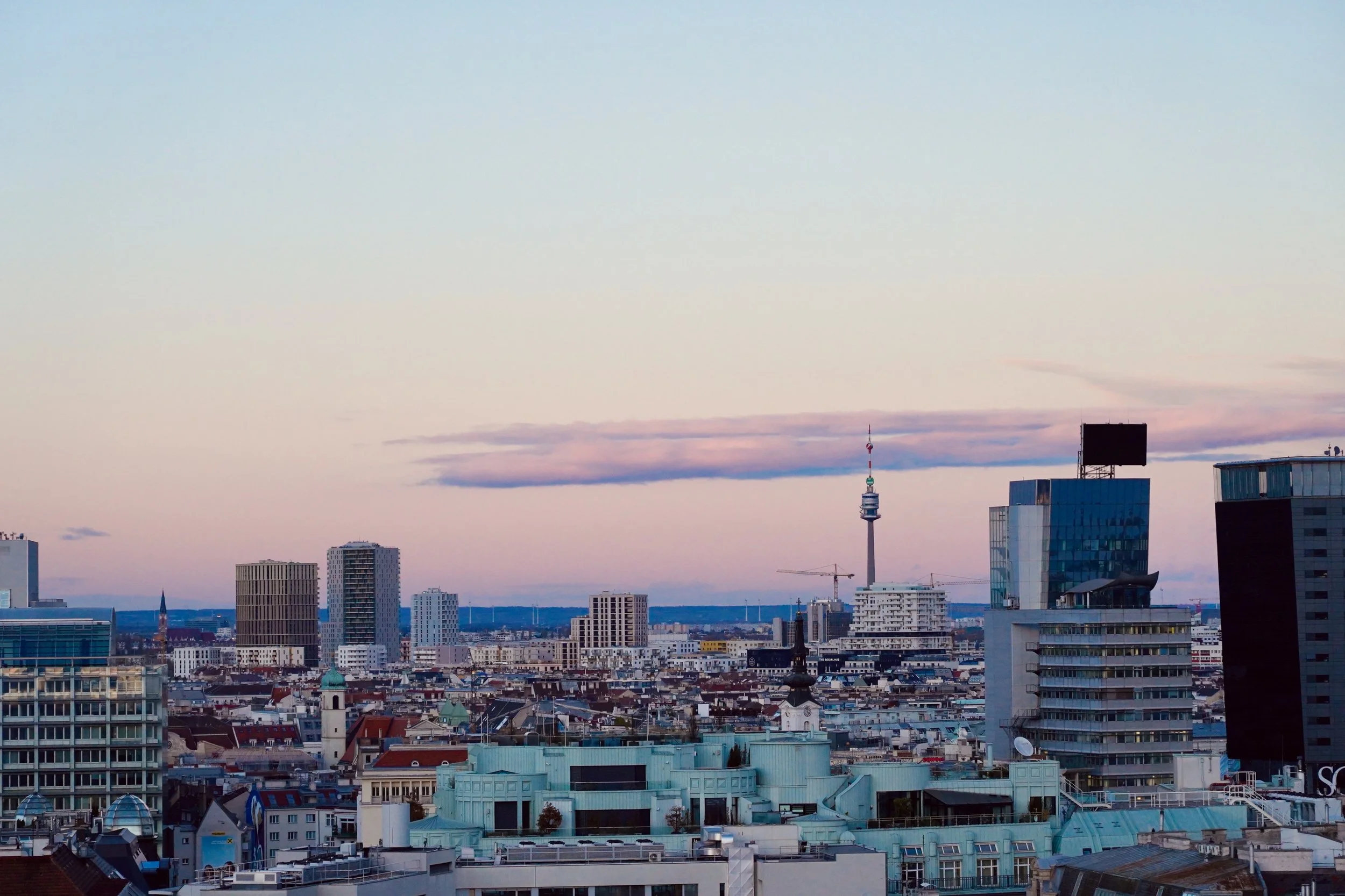 DSC03312.jpeg