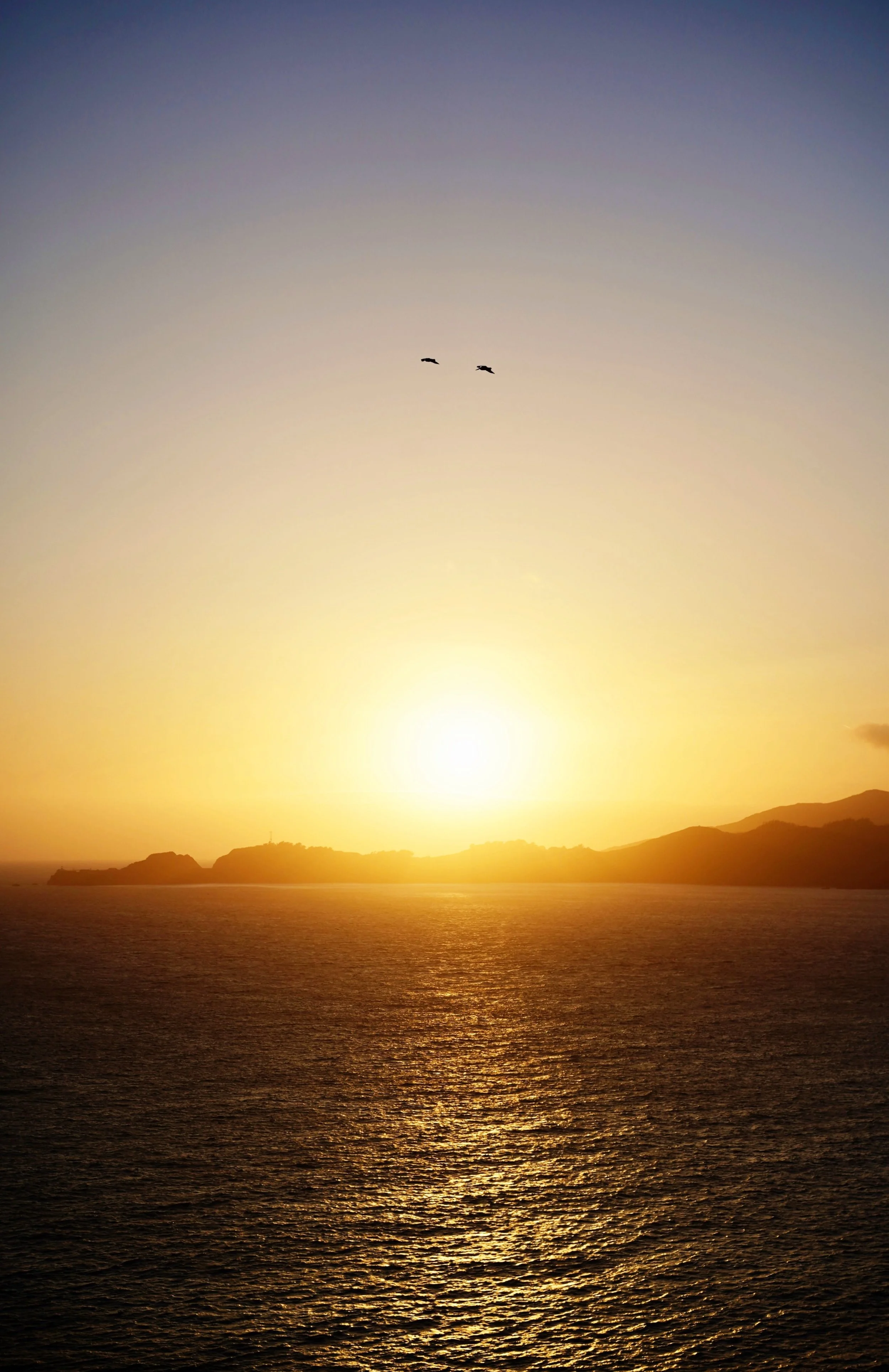 21FF338B-E927-492F-9E74-5C8C3A2D8678.jpeg