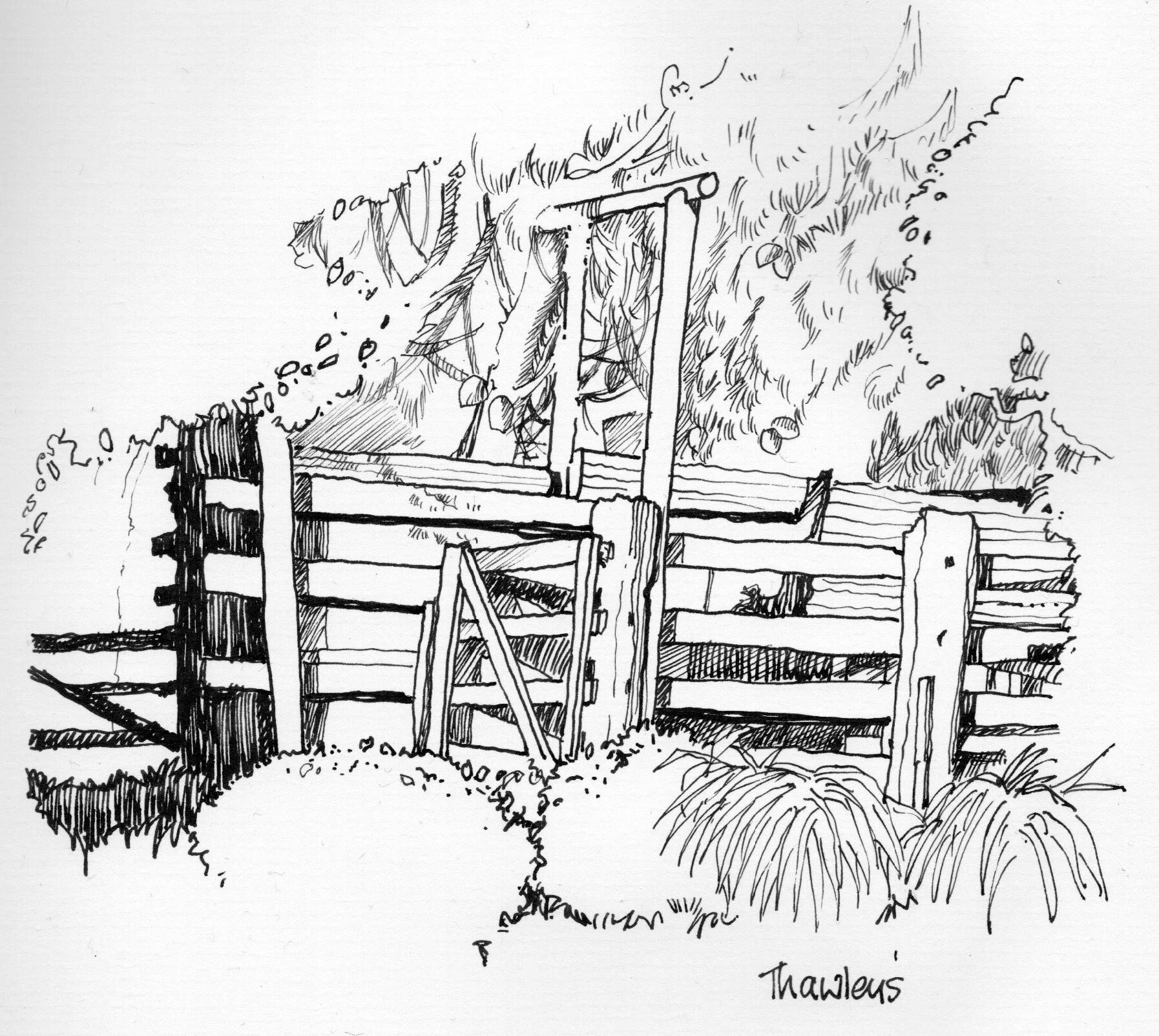 The Old Race at Thawley's | Mapua