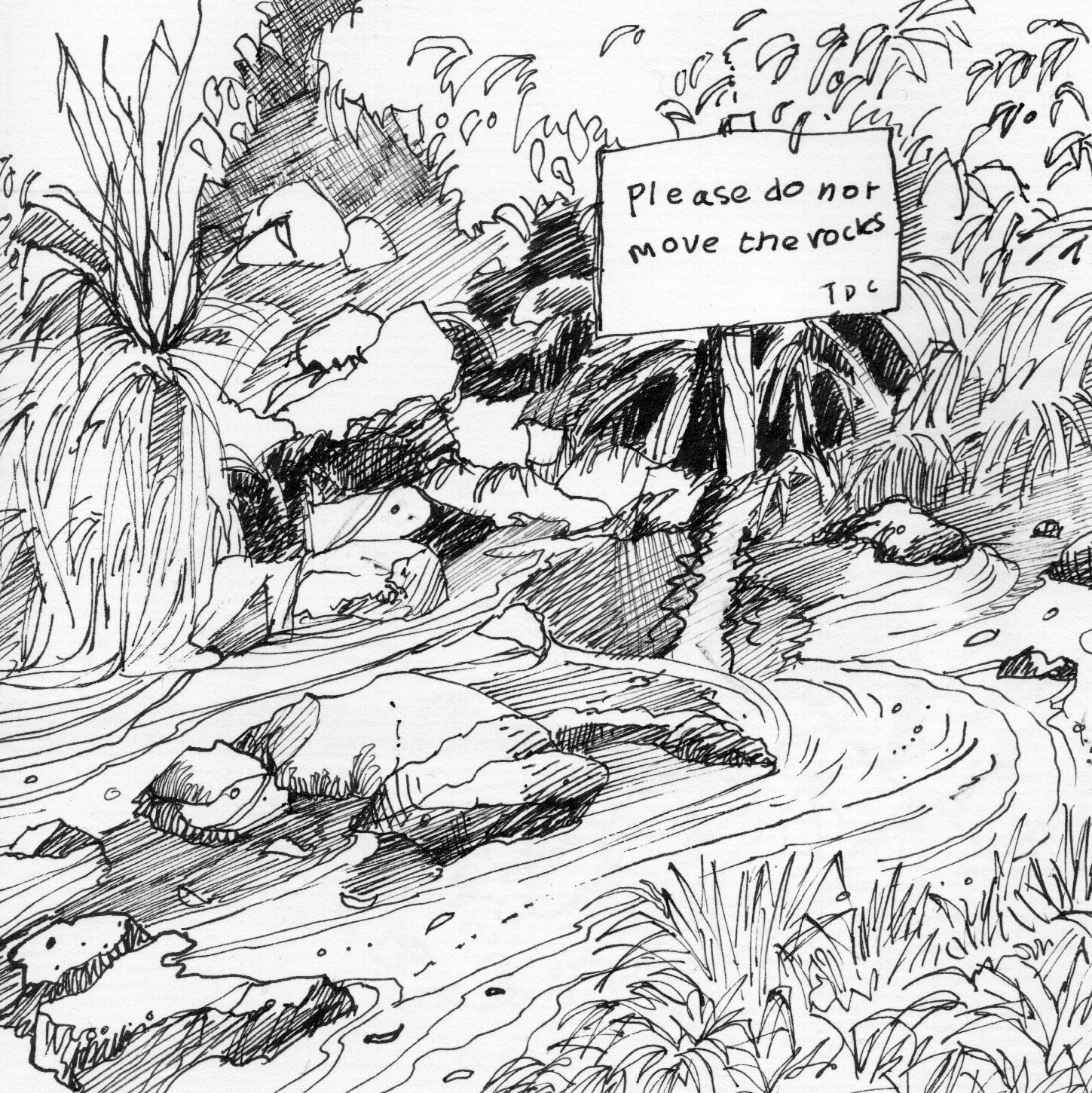 The Stream Running Alongside The "chicken Run" | Mapua