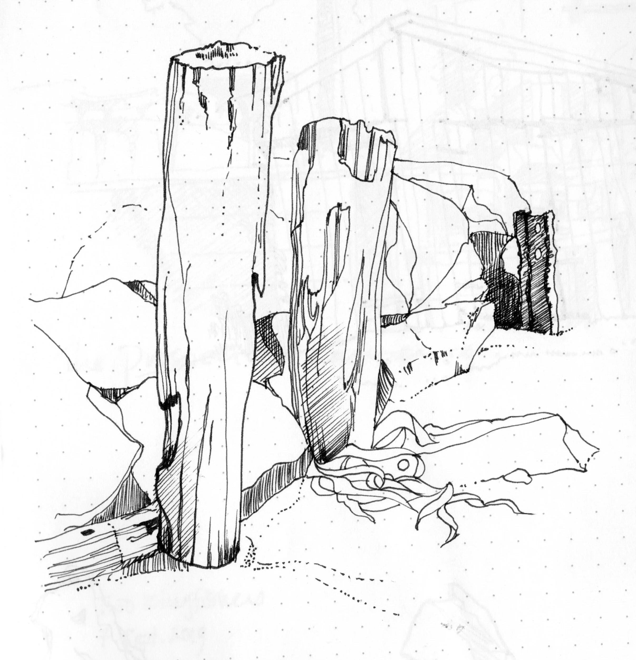 Old Piles on the Beach | Moeraki