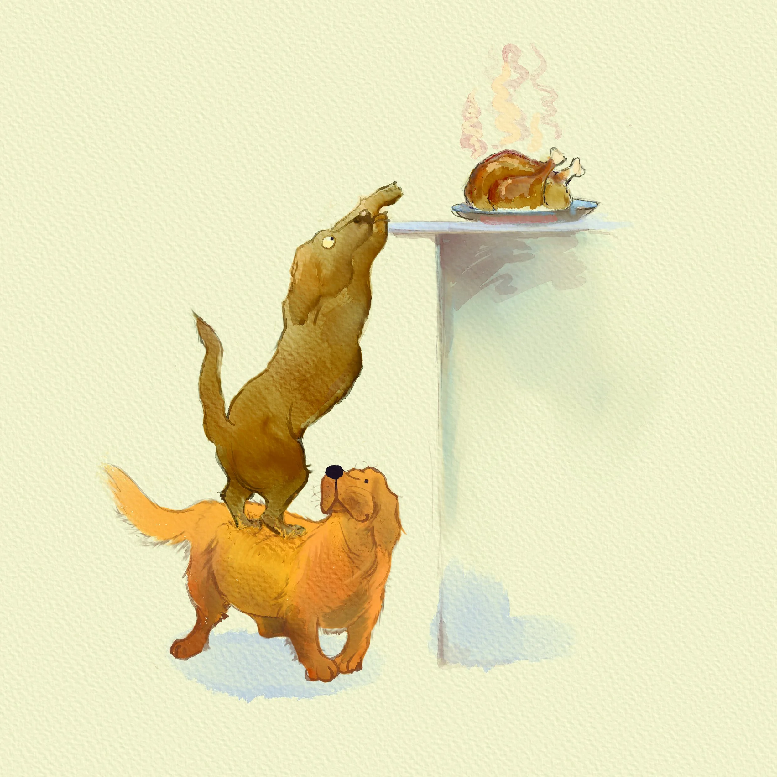 The Disappearing Chicken