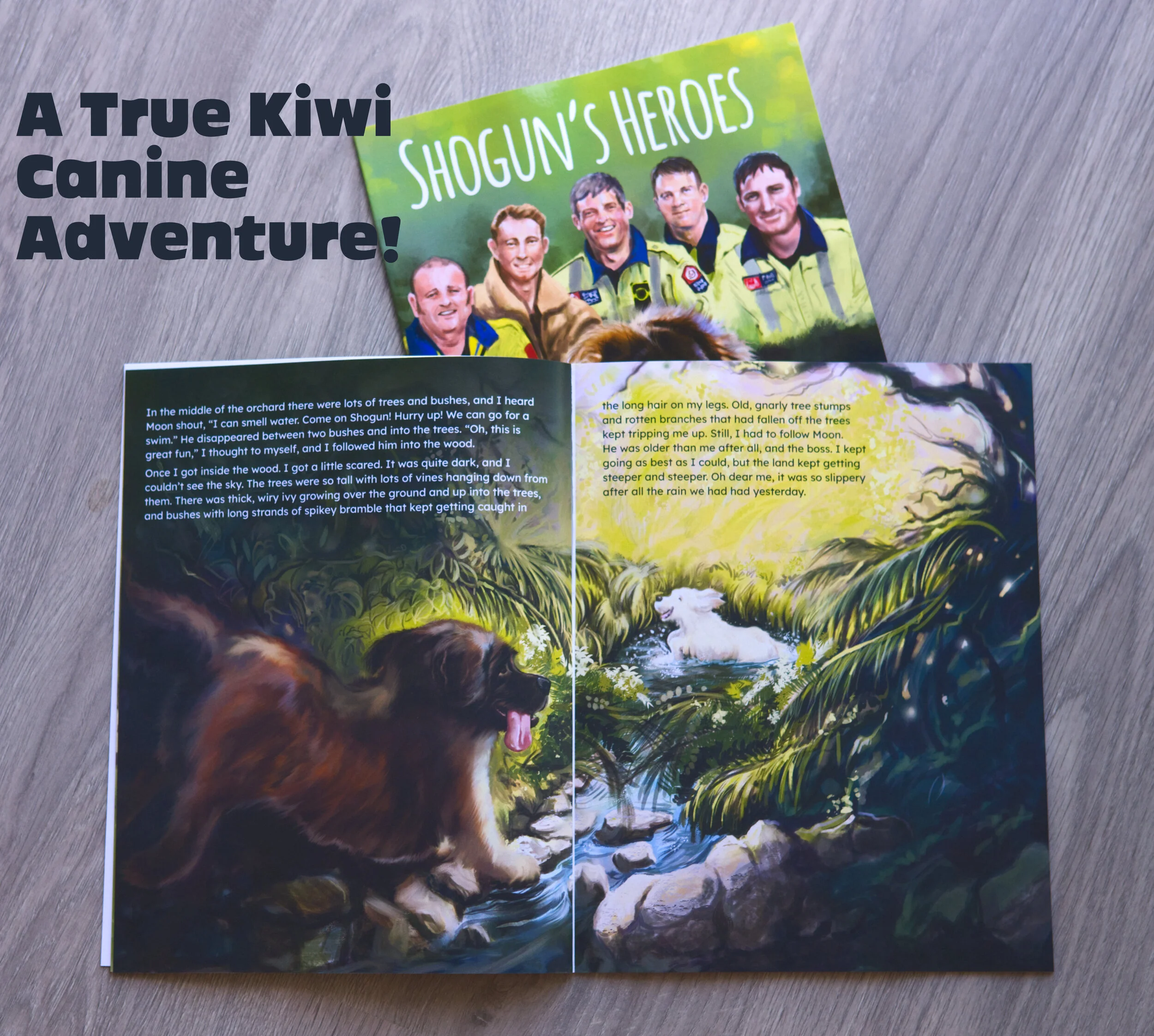 Shogun Publicity Pic.jpg