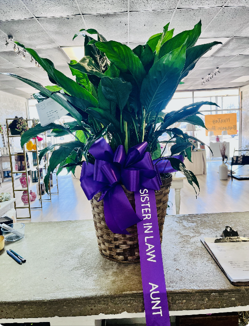 $75.00 + $10.00 Banner