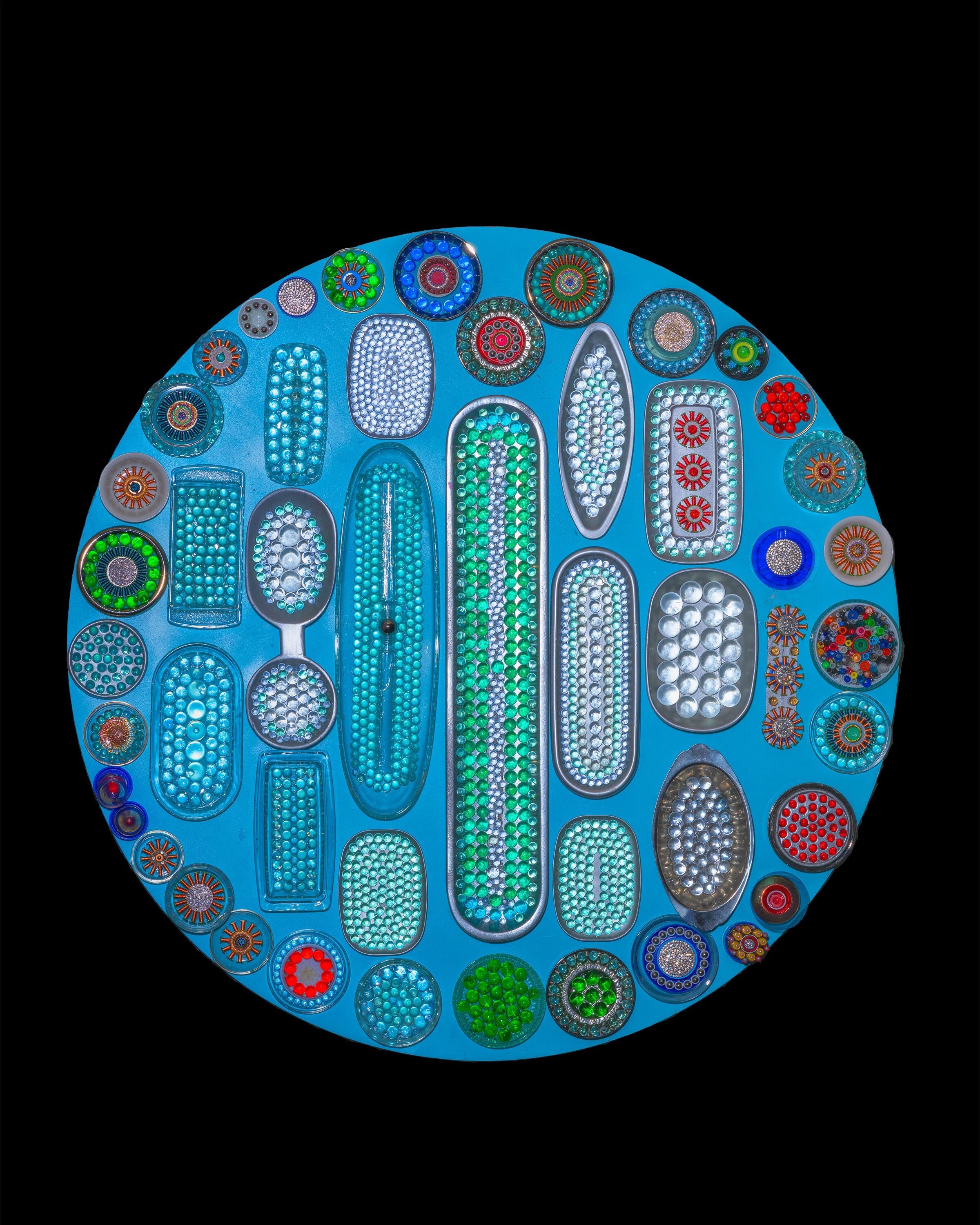 Diatom Dreams v2 (1).JPG