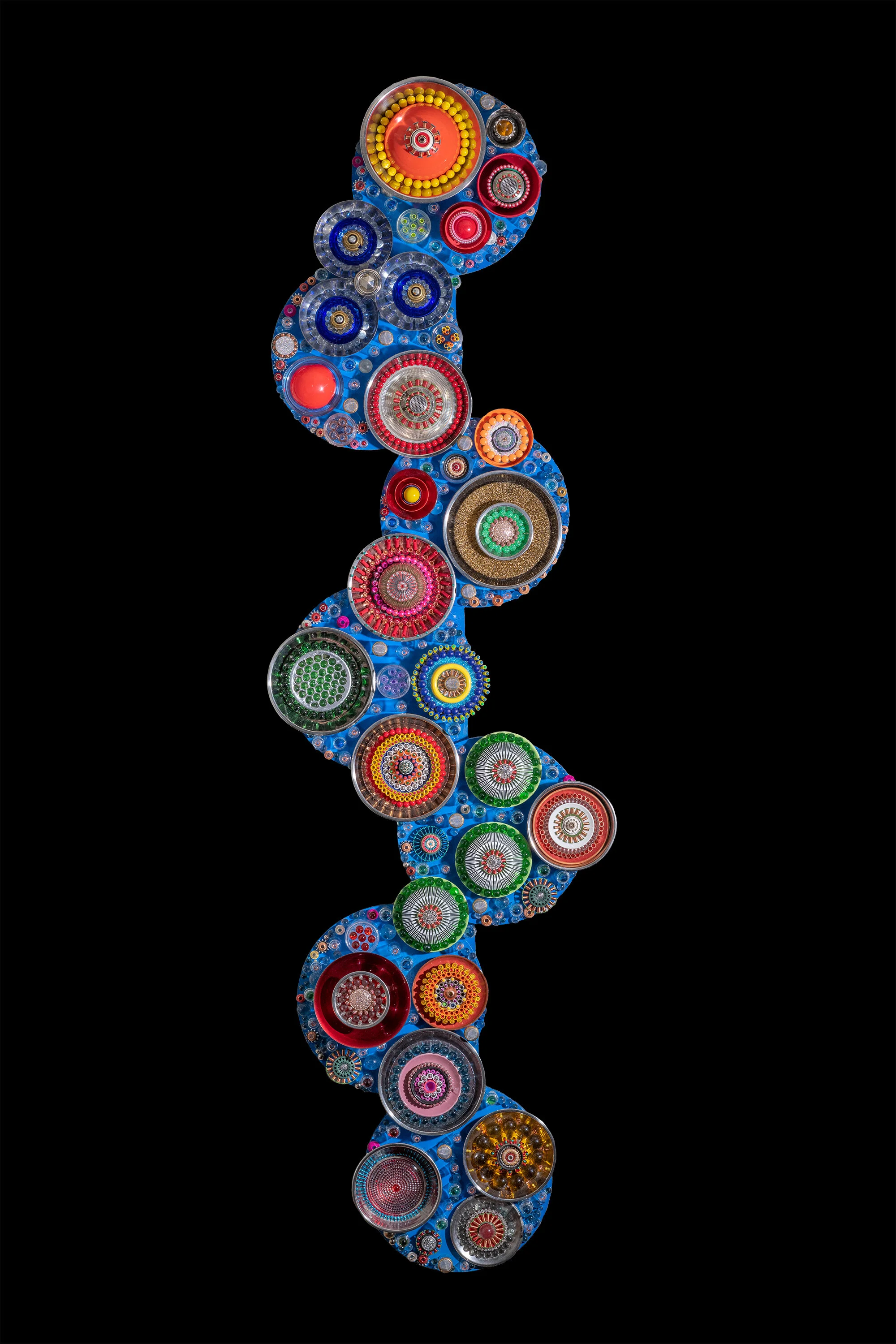 diatom dream no 2 v1.JPG