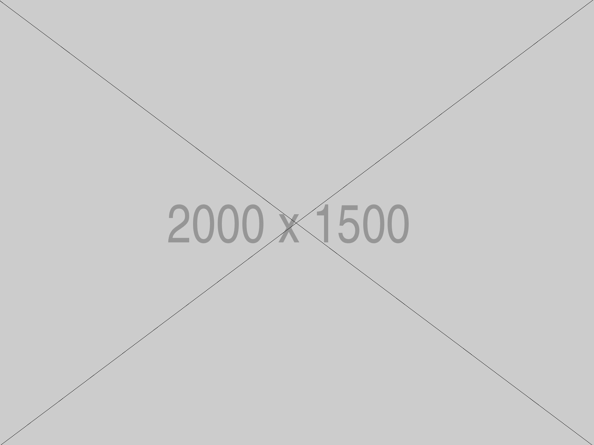 placeholder image 2000x1500.png