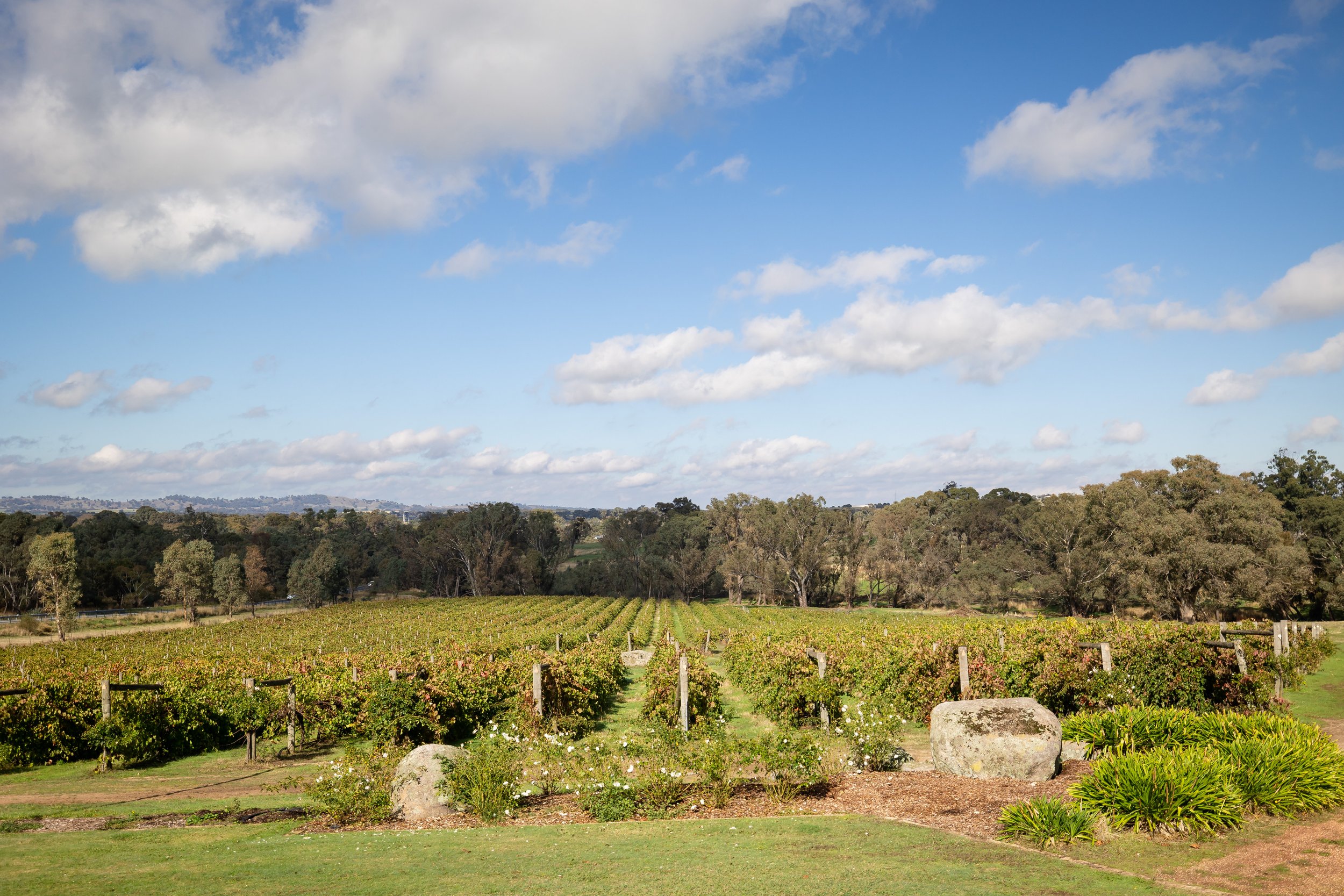   What makes our region special    Our winemaking  