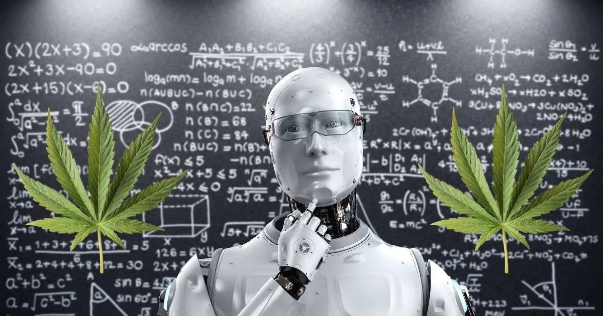 AI and Cannabis