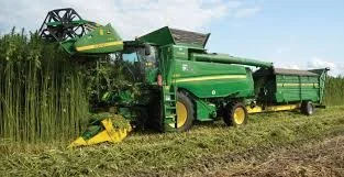 Hemp: The Next Cash Crop for Oklahoma Farmers?