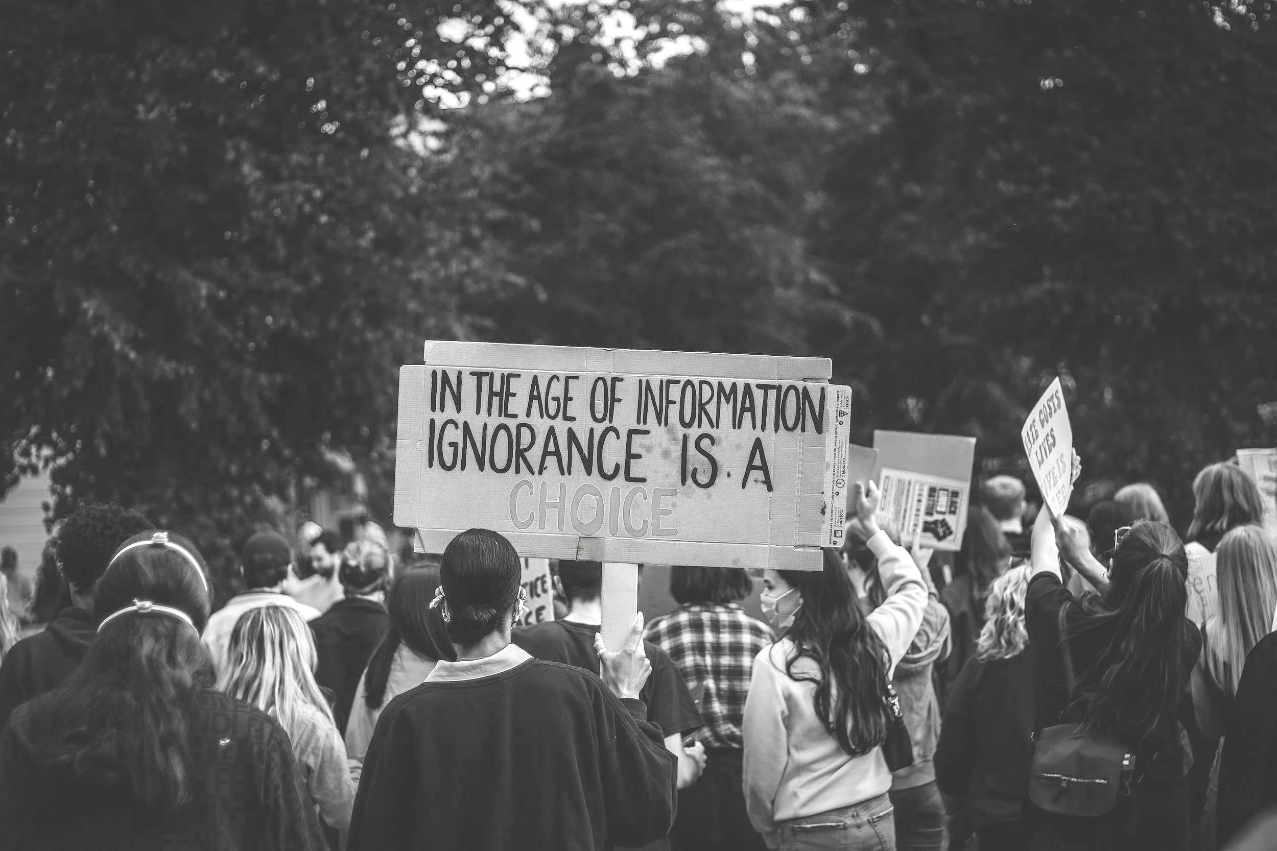 Becoming a Changemaker