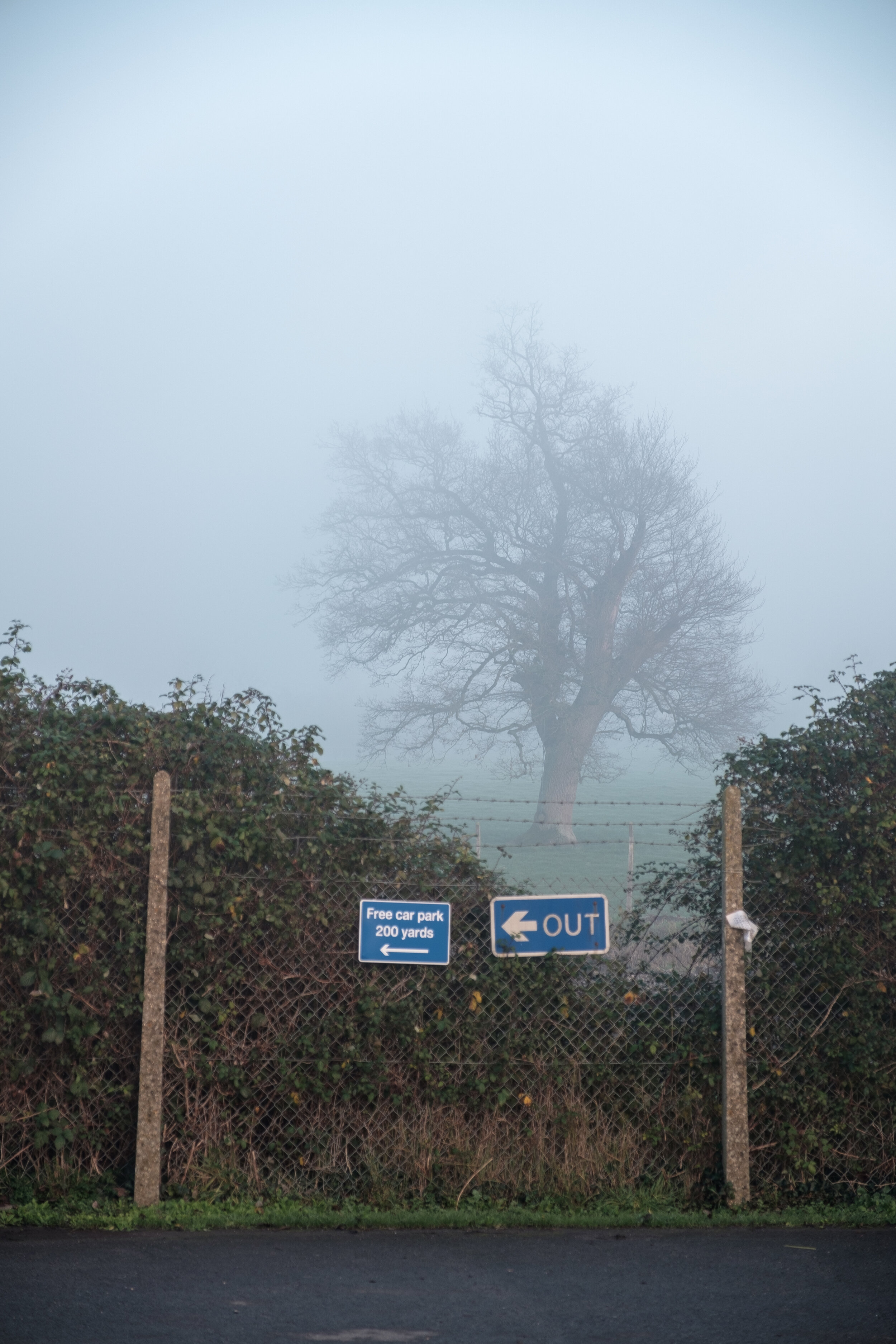 DSCF7961.jpg
