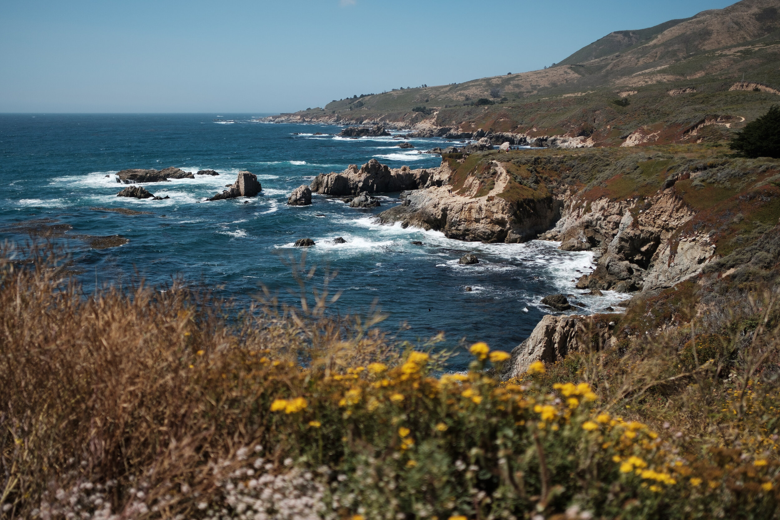 DSCF4665.jpg