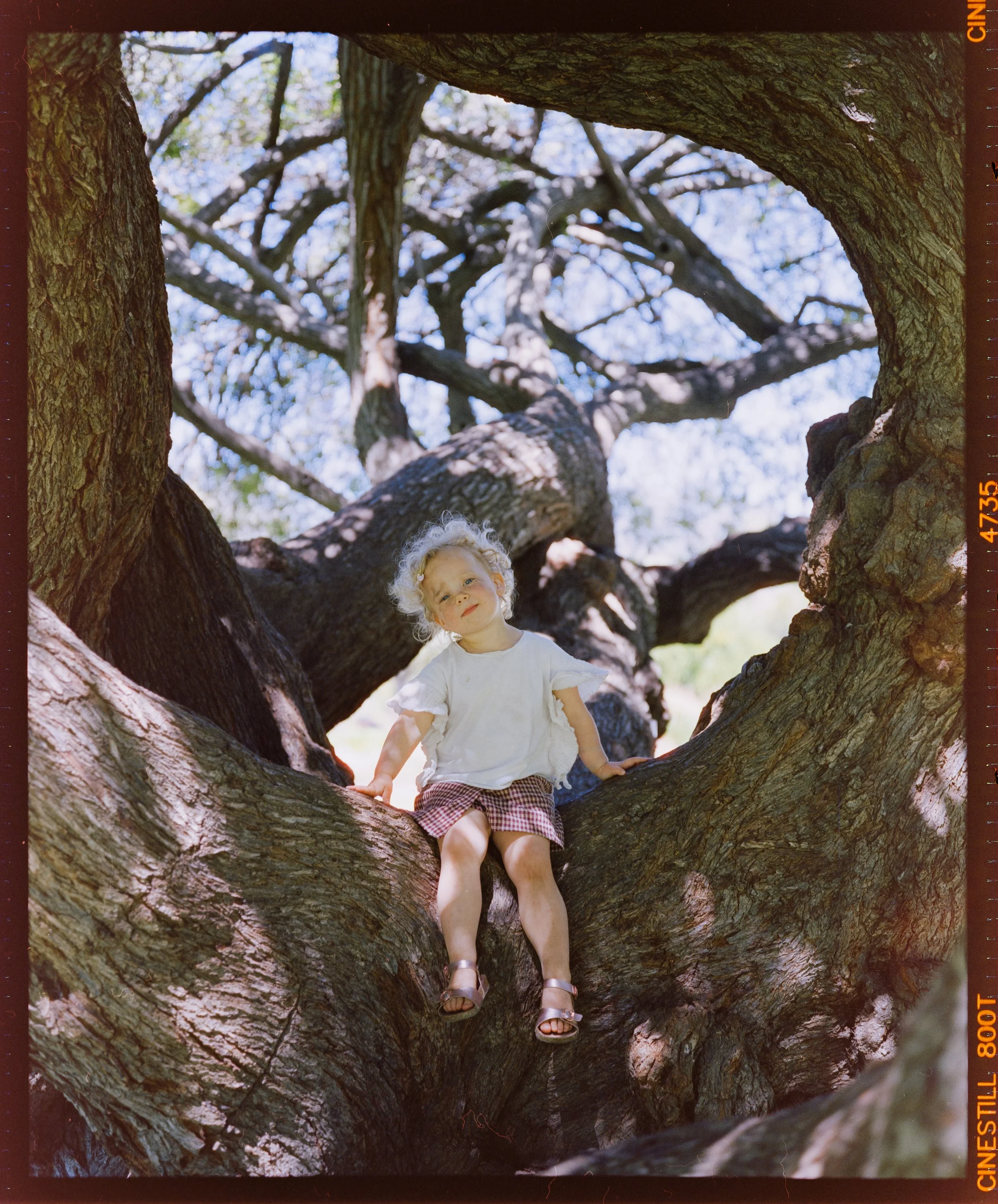 DSCF3279-2a.jpg