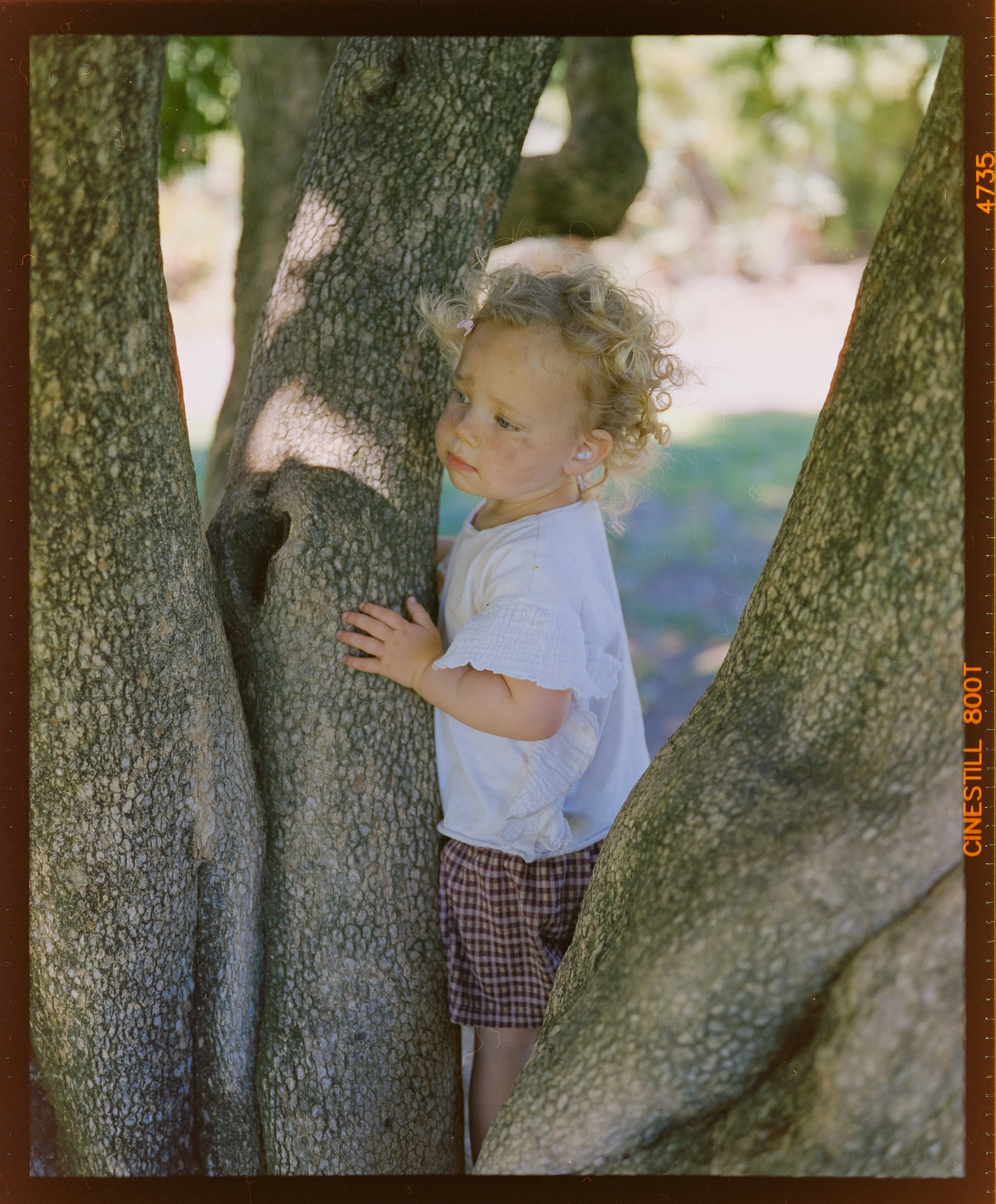 DSCF3270-2a.jpg