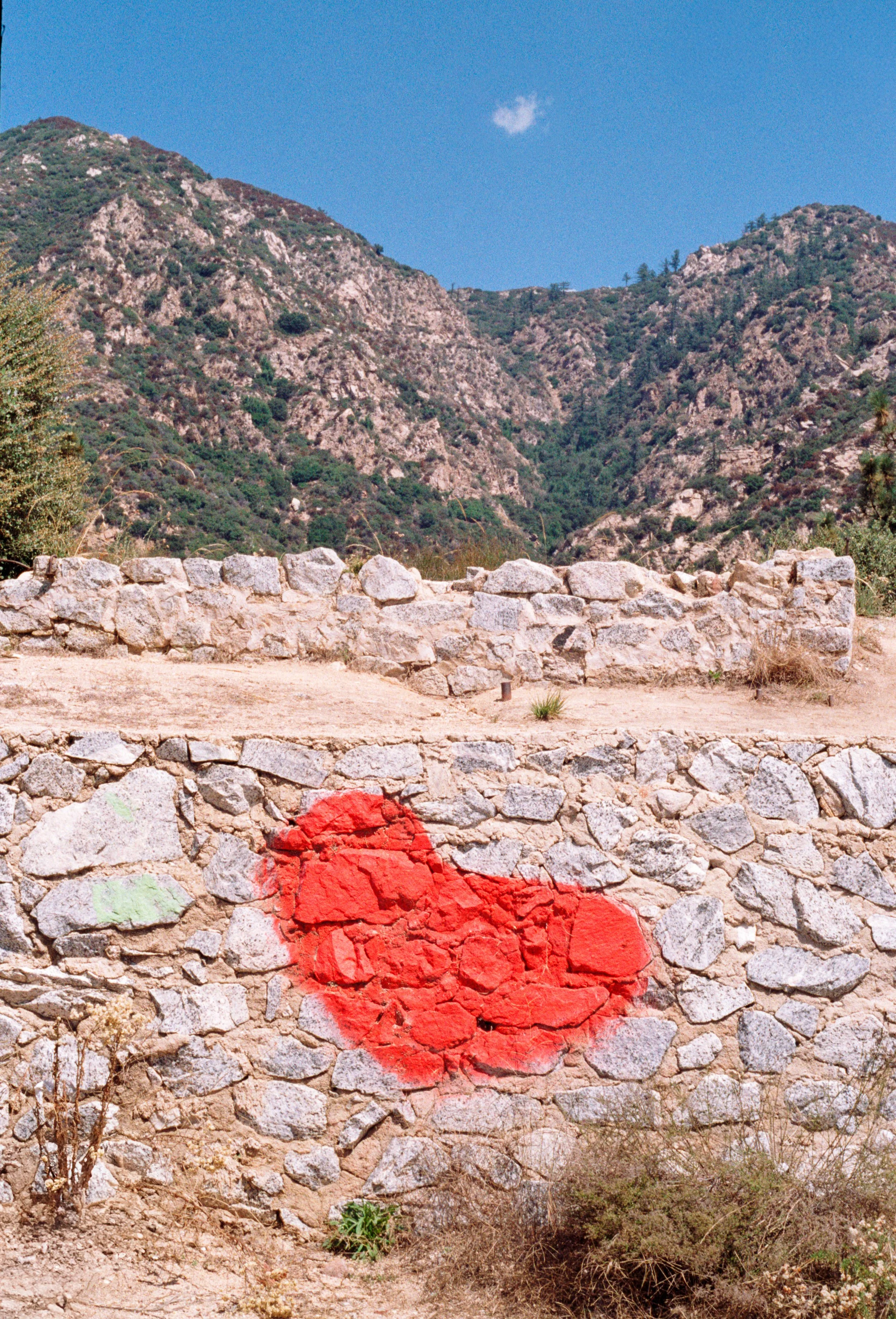 Pro Image 100 Fujica ST (31).jpg