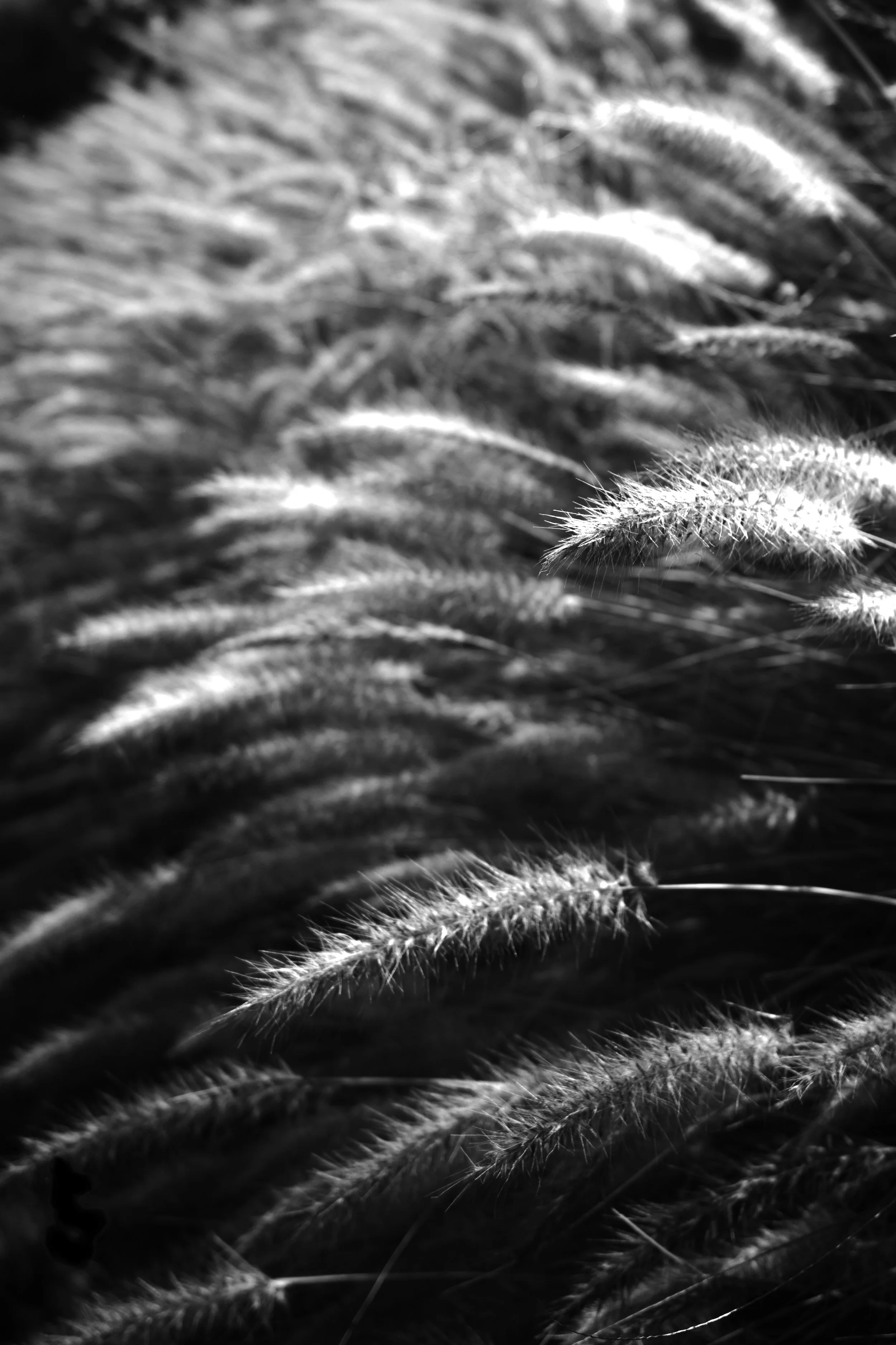 R0001300.jpg