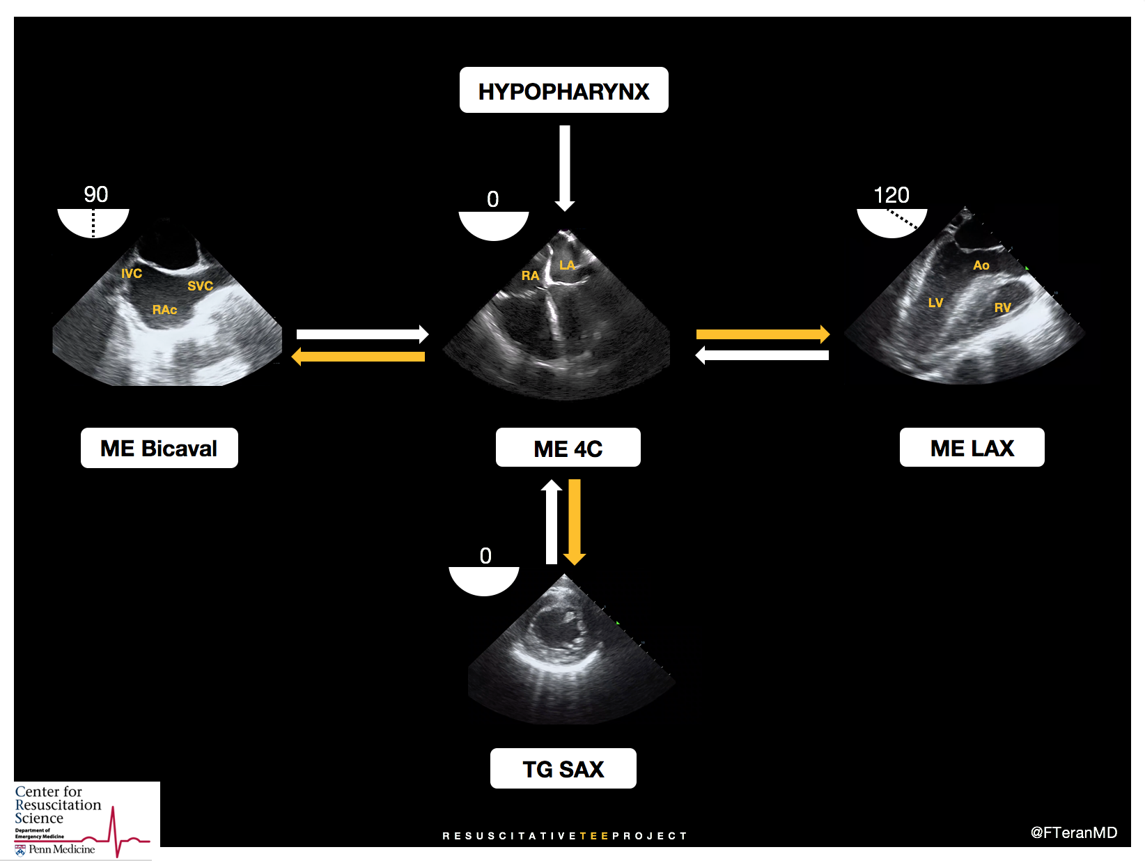 ResTEE-Views-PennEmergencyUltrasound.jpeg