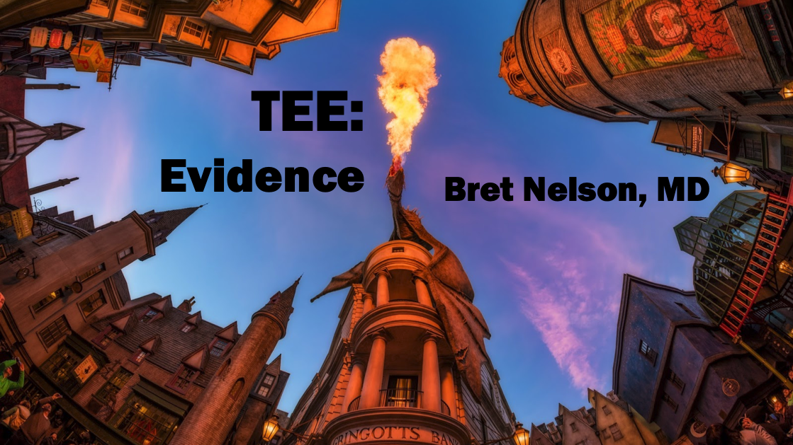 presenter: Bret nelson, MD lecture presented at the 2019 AMERICAN INSTITUTE OF ULTRASOUND IN MEDICINE (AIUM) CONVENTION , held in orlando, FL on april 9th, 2019.