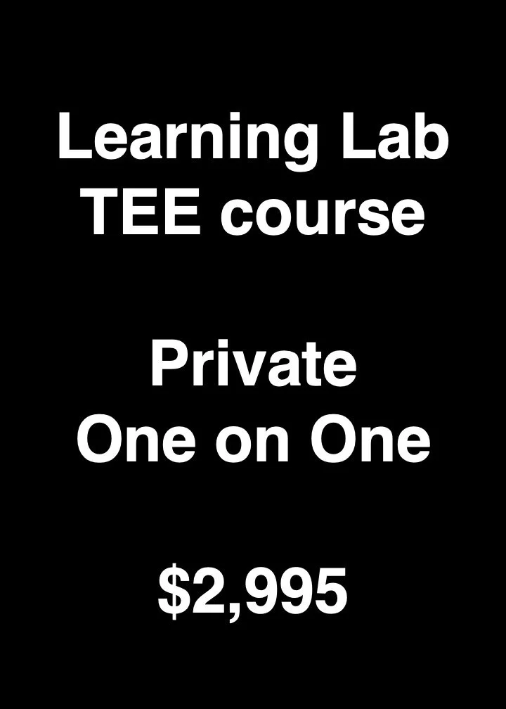 Learning Lab  (1 Learner)